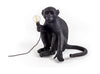  Lampe extérieure du singe noir assis