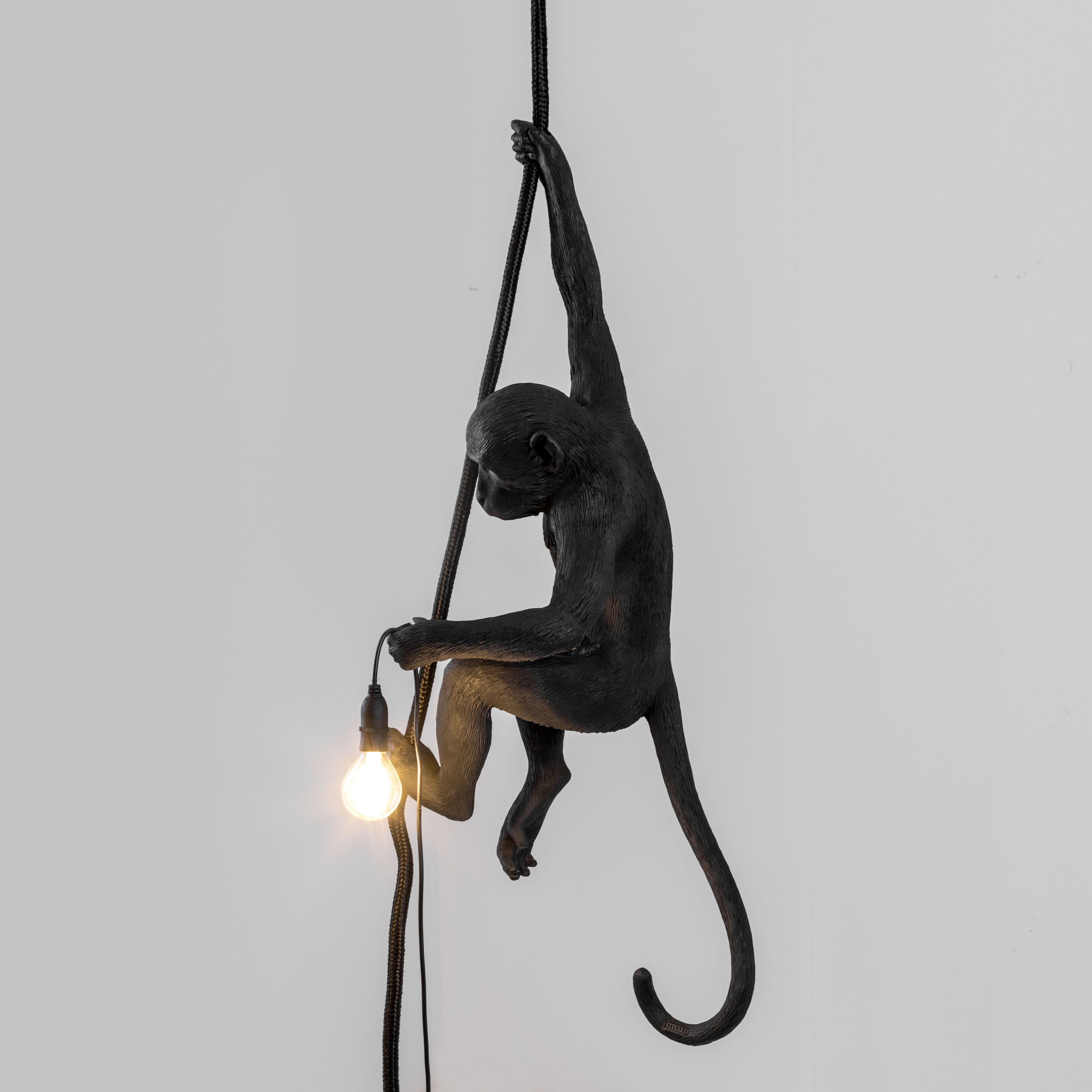 Seletti猴子户外灯黑色，绳索