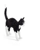  Jobby la lampe de chat noir / blanc