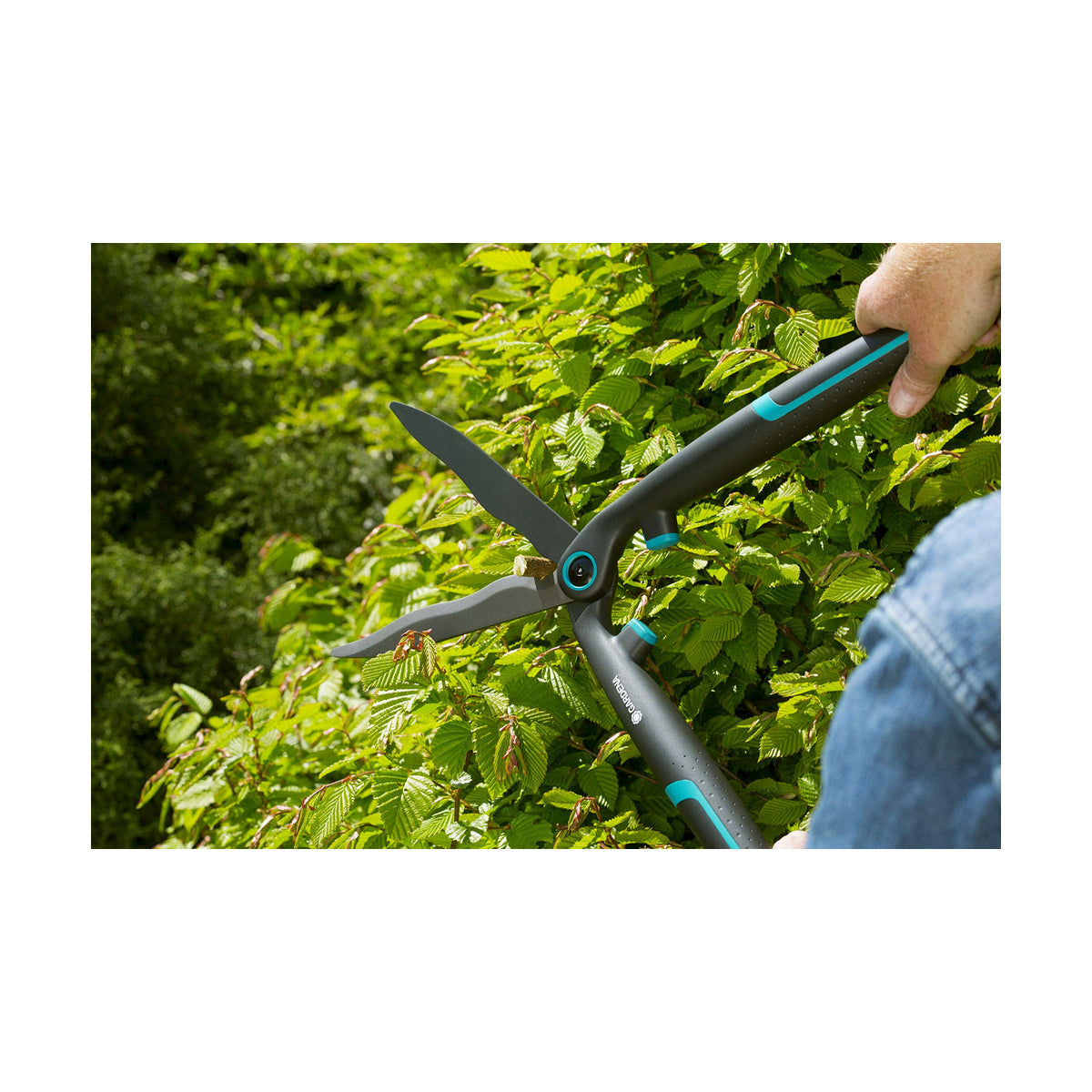 Hedge trimmer gardaria easycut 12301-20