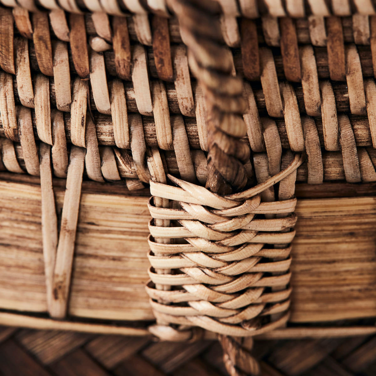 Pankets de docteur de maison, Hdbalie, Nature