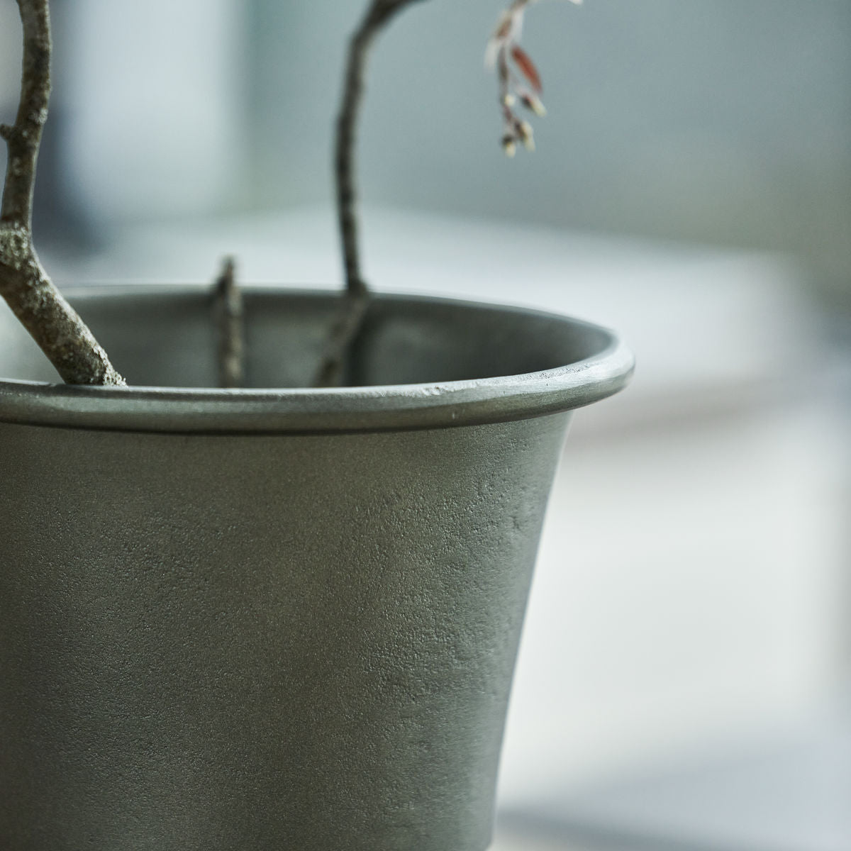 Vase medico di casa, florista hd, verde