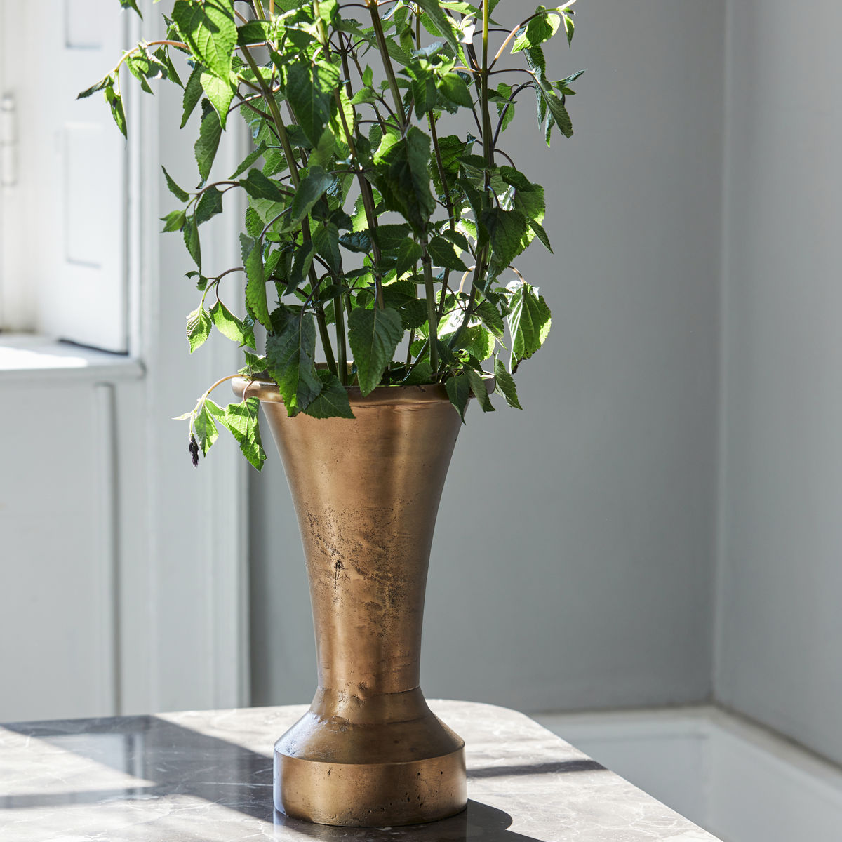 Vaso medico di casa, florista hd, ottone antico