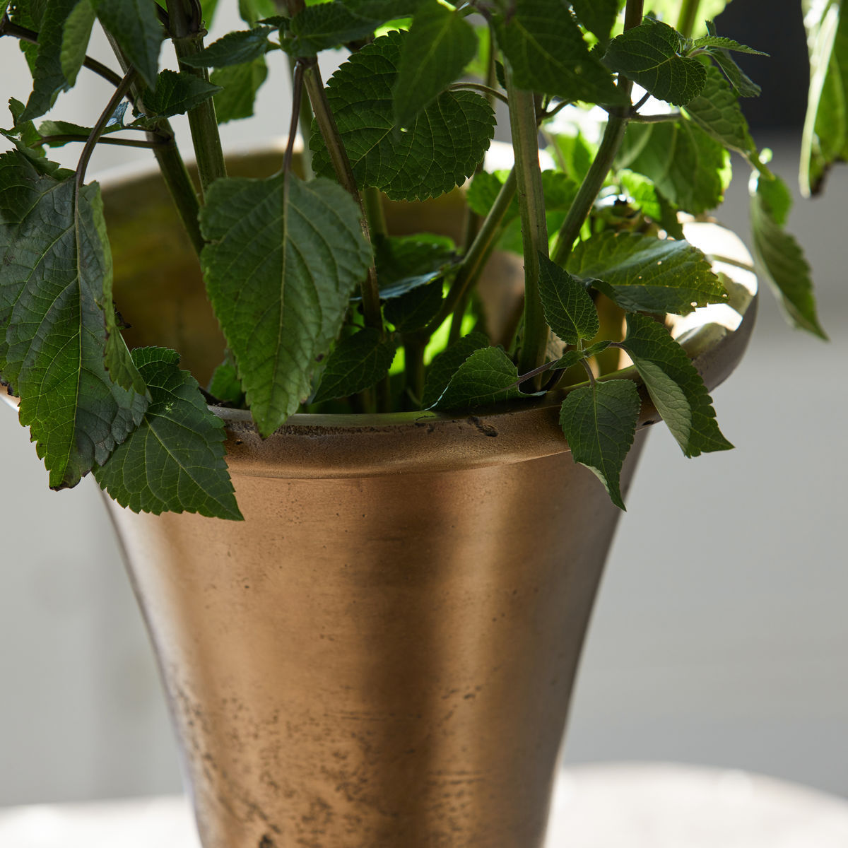 Vaso medico di casa, florista hd, ottone antico