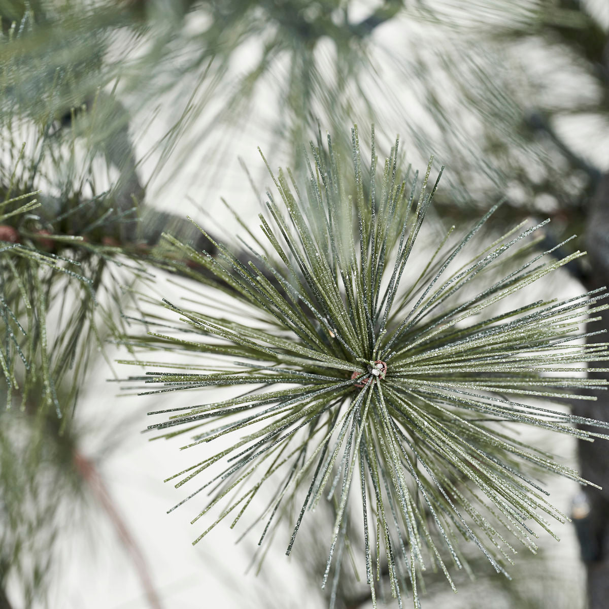 Docteur de maison arbre de Noël w. LED, hdpeuce, nature