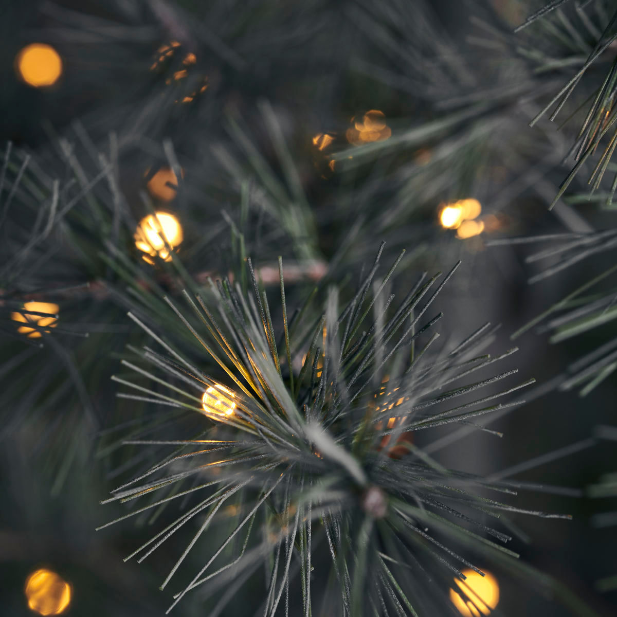 Huisarts kerstboom w. LED, HDPIN, NATUUR