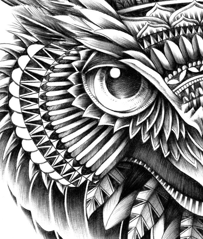 Affiche Ornate Owl Head di Bioworkz