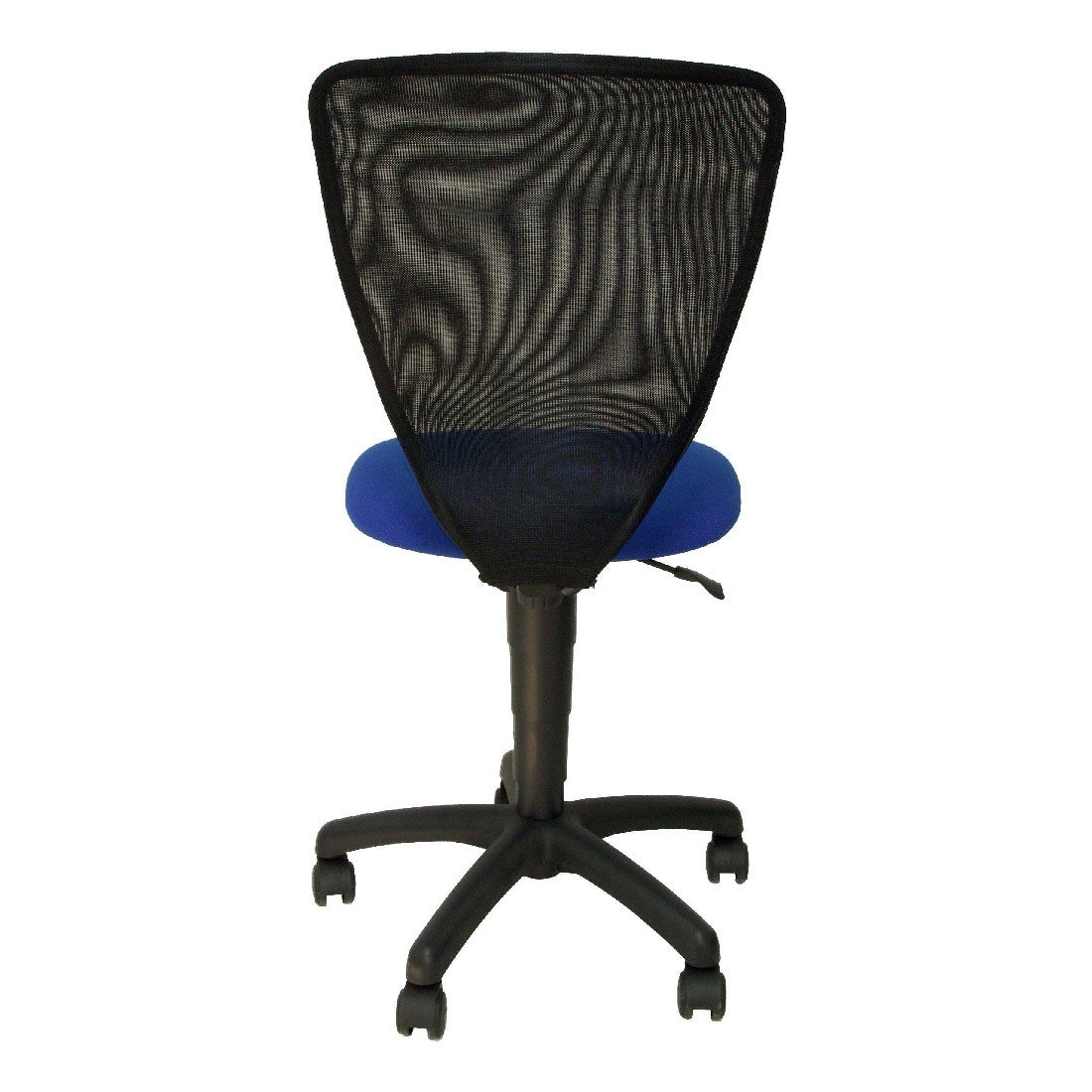 Président de bureau P&C ARAN229 Blue