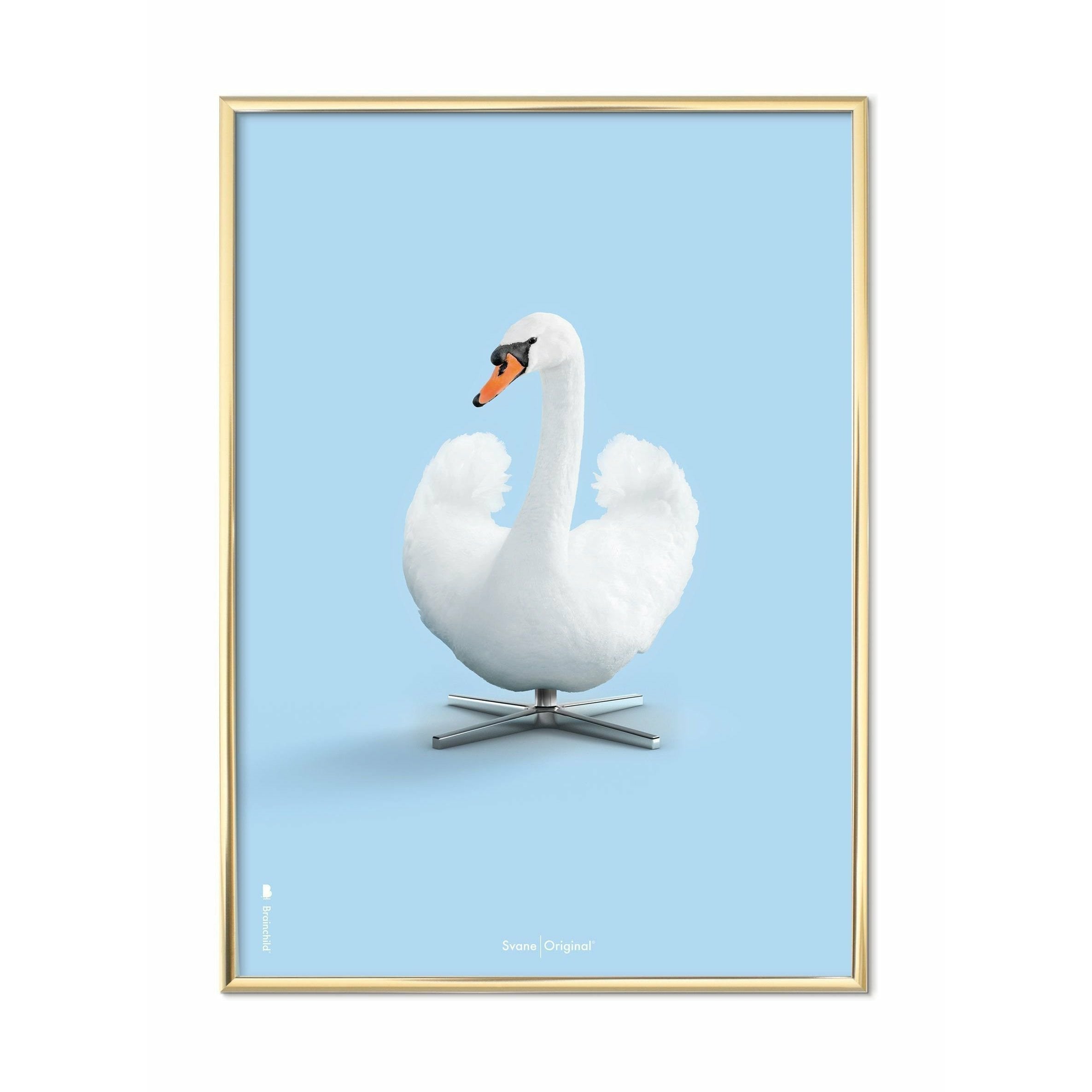 brainchild Swan Classic Poster, messing gekleurd frame 30x40 cm, lichtblauwe achtergrond