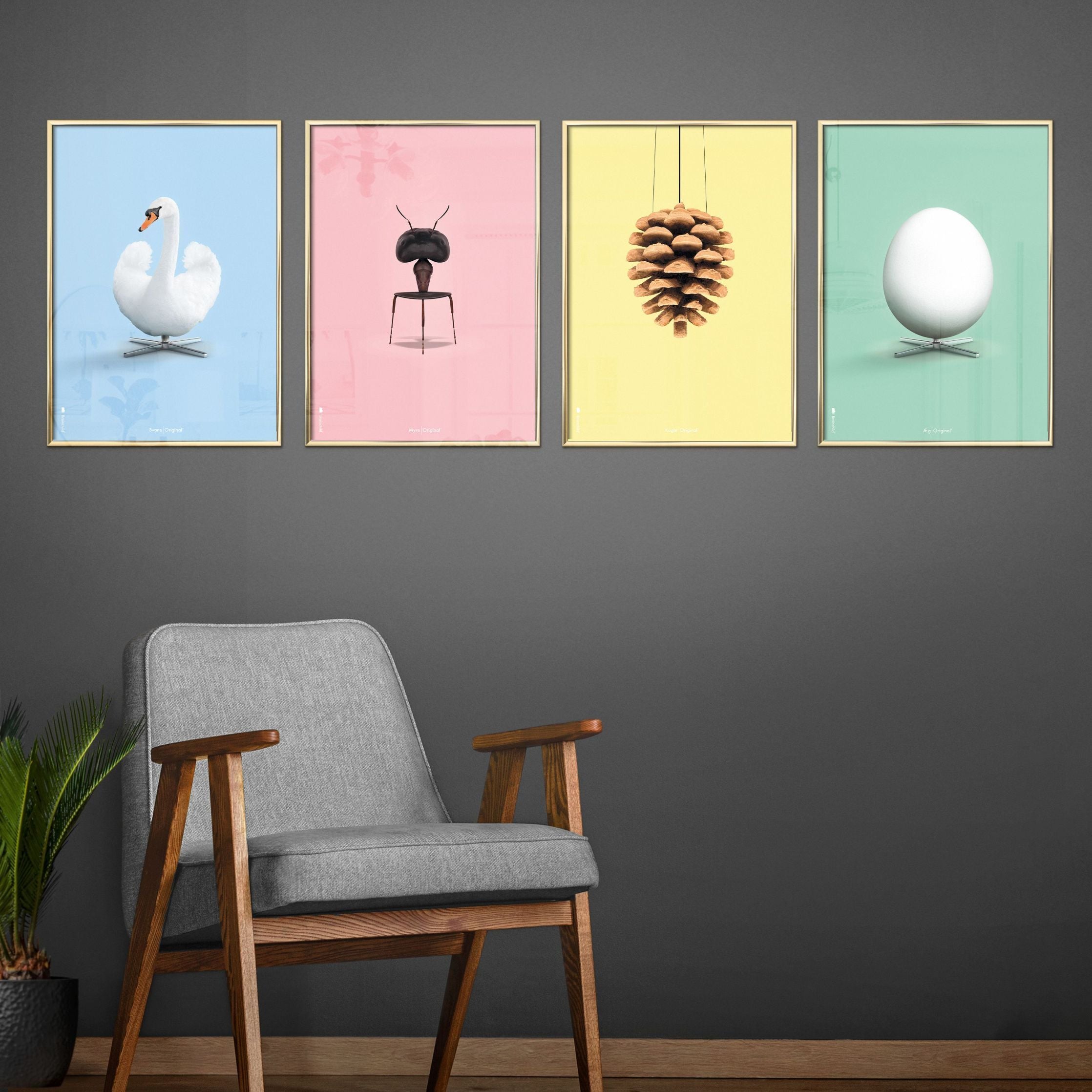 brainchild Swan Classic Poster, koperen frame 50x70 cm, lichtblauwe achtergrond
