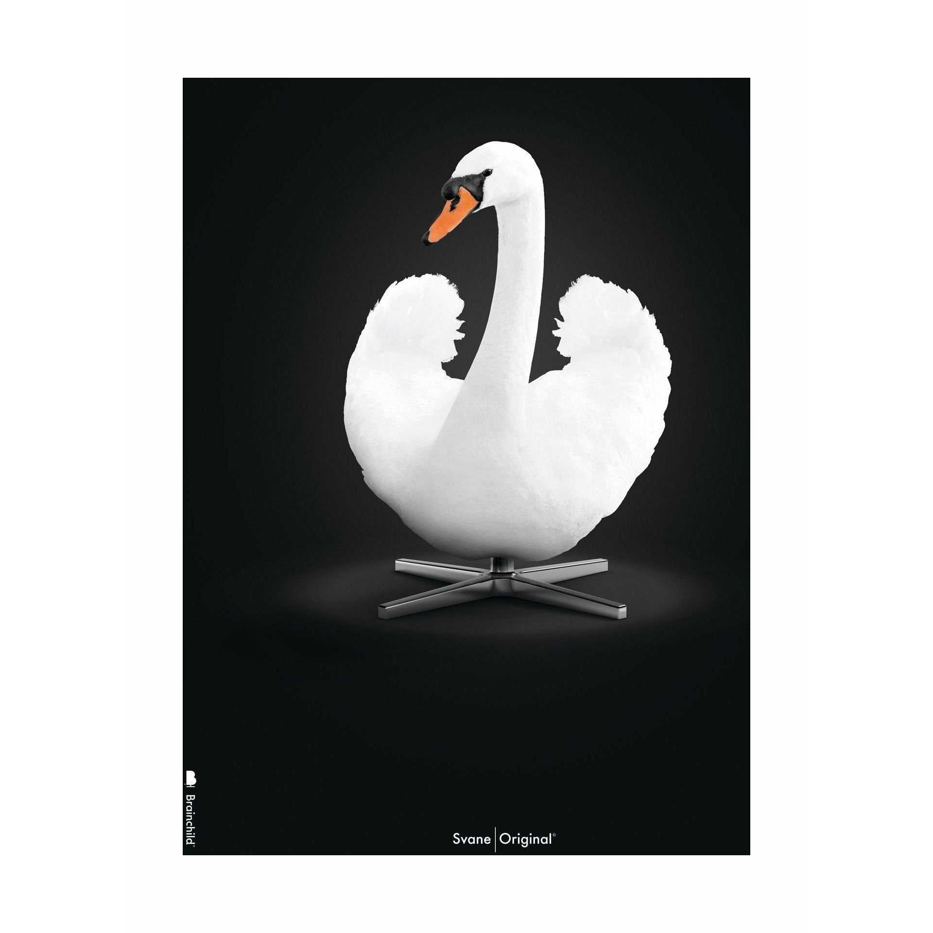 Brainchild Swan Classic Poster uten ramme 30 x40 cm, hvit/hvit bakgrunn