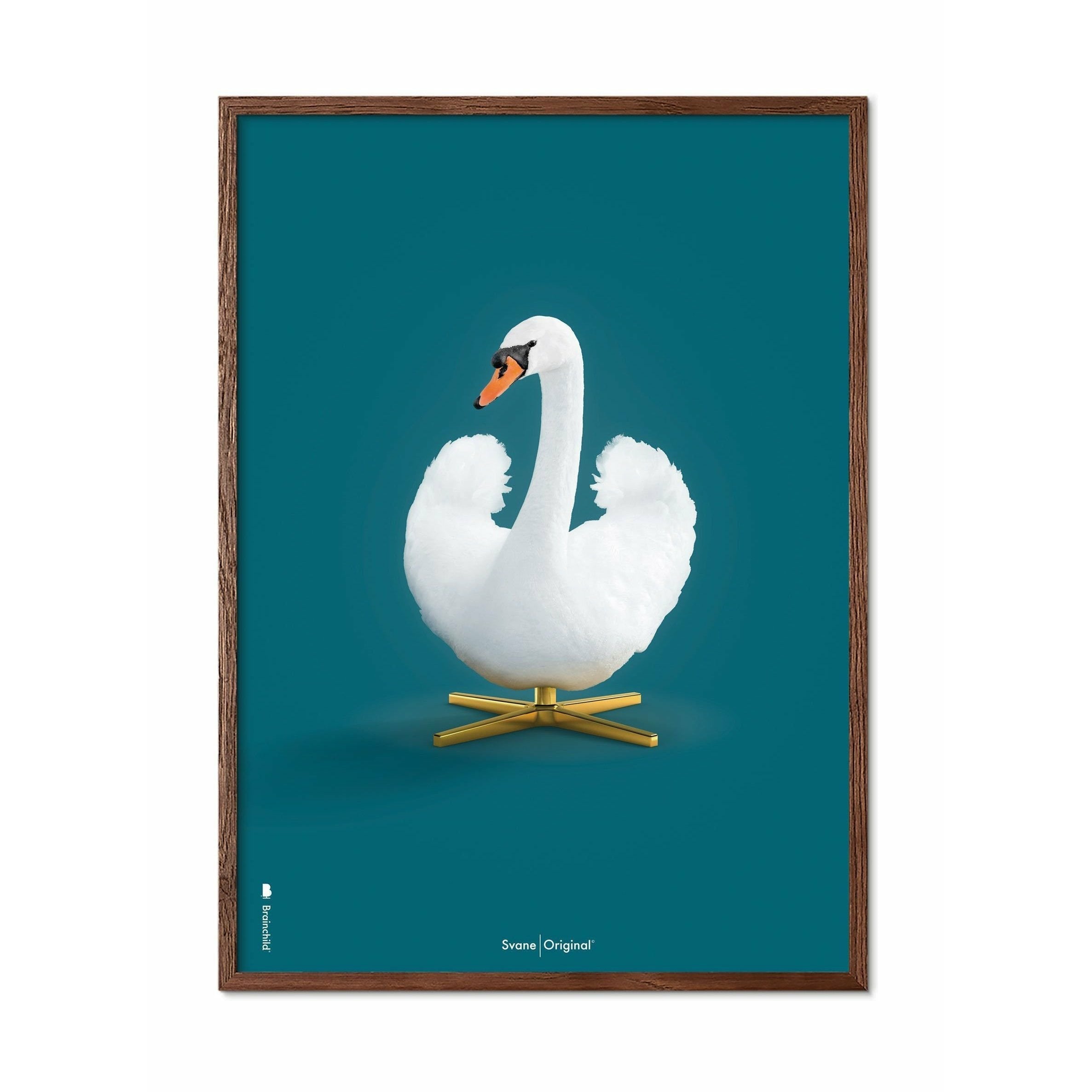 Brainchild Swan Classic Poster, Dark Wood Frame 30x40 cm, Petroleum Blue Bakgrund