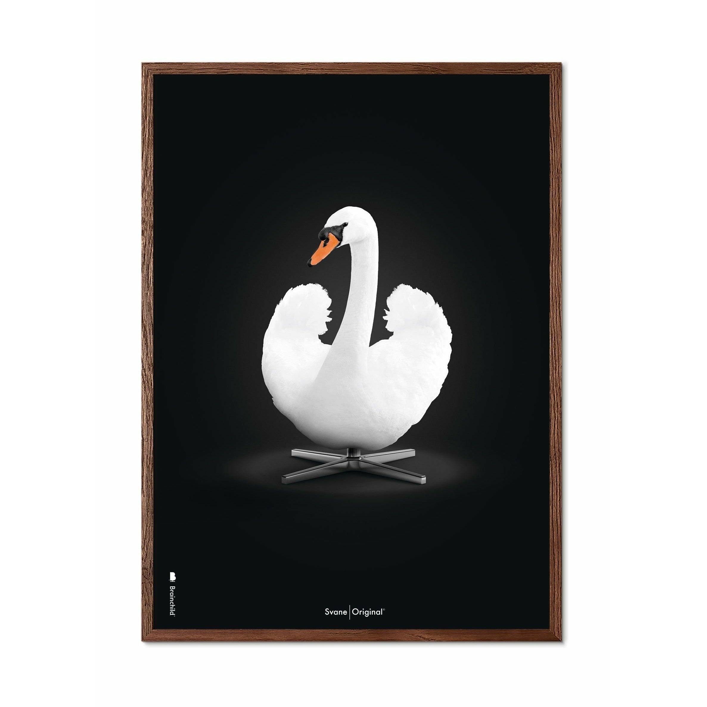 Poster classico cigno da gioco, cornice in legno scuro A5, sfondo bianco/bianco