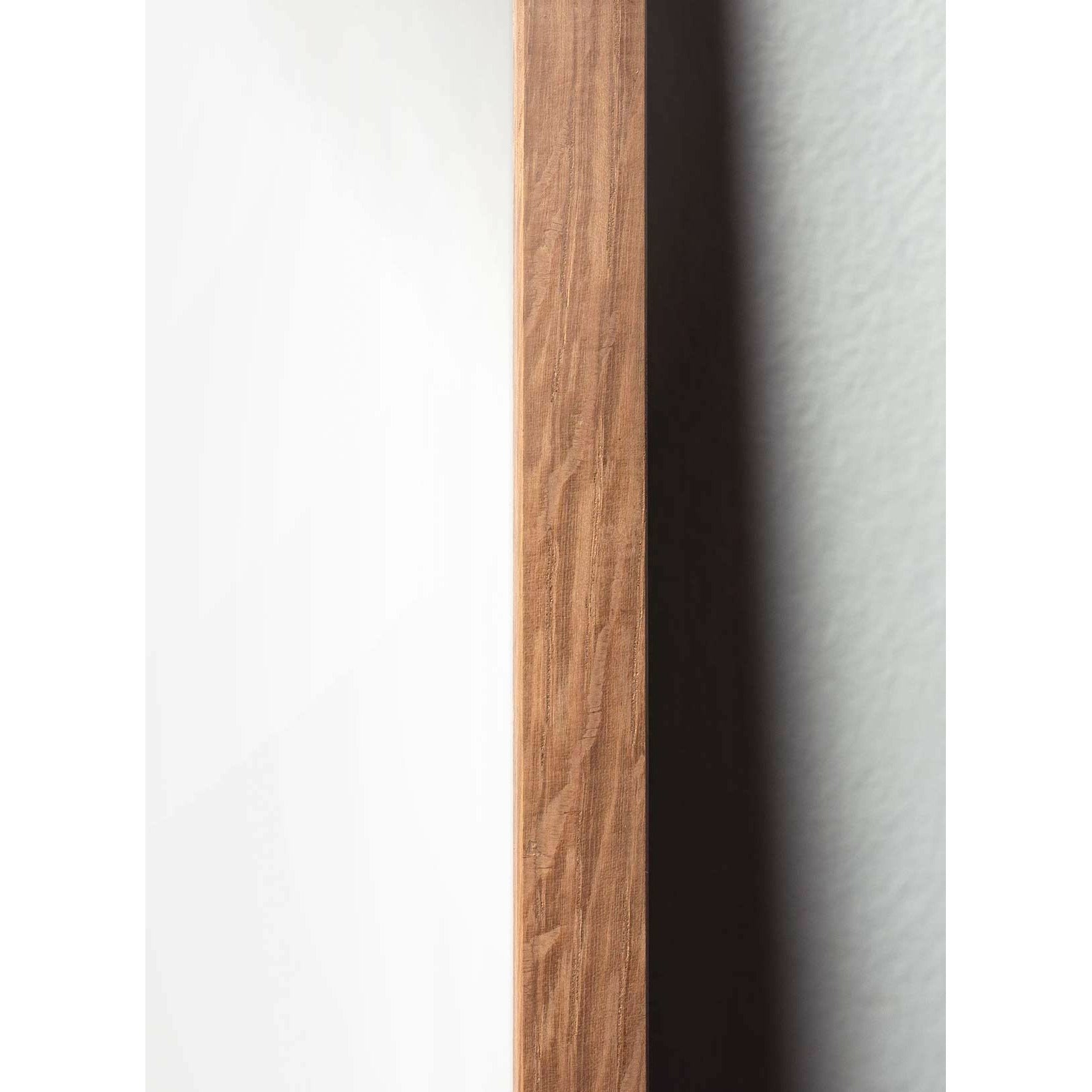 Póster clásico de Swan, marco hecho de madera clara de 30x40 cm, fondo blanco/blanco