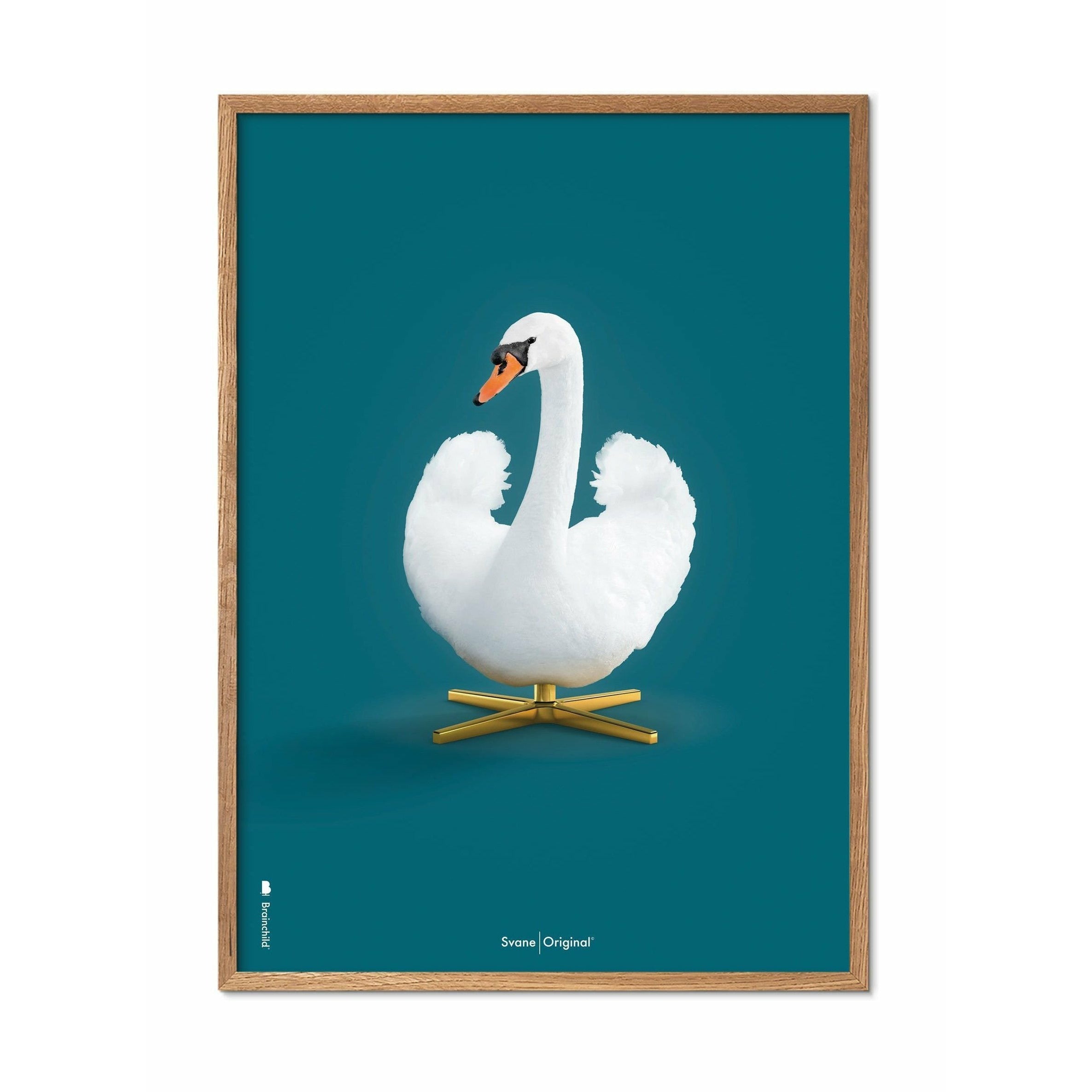 brainchild Swan Classic Poster, licht houten frame 50 x70 cm, petroleumblauwe achtergrond