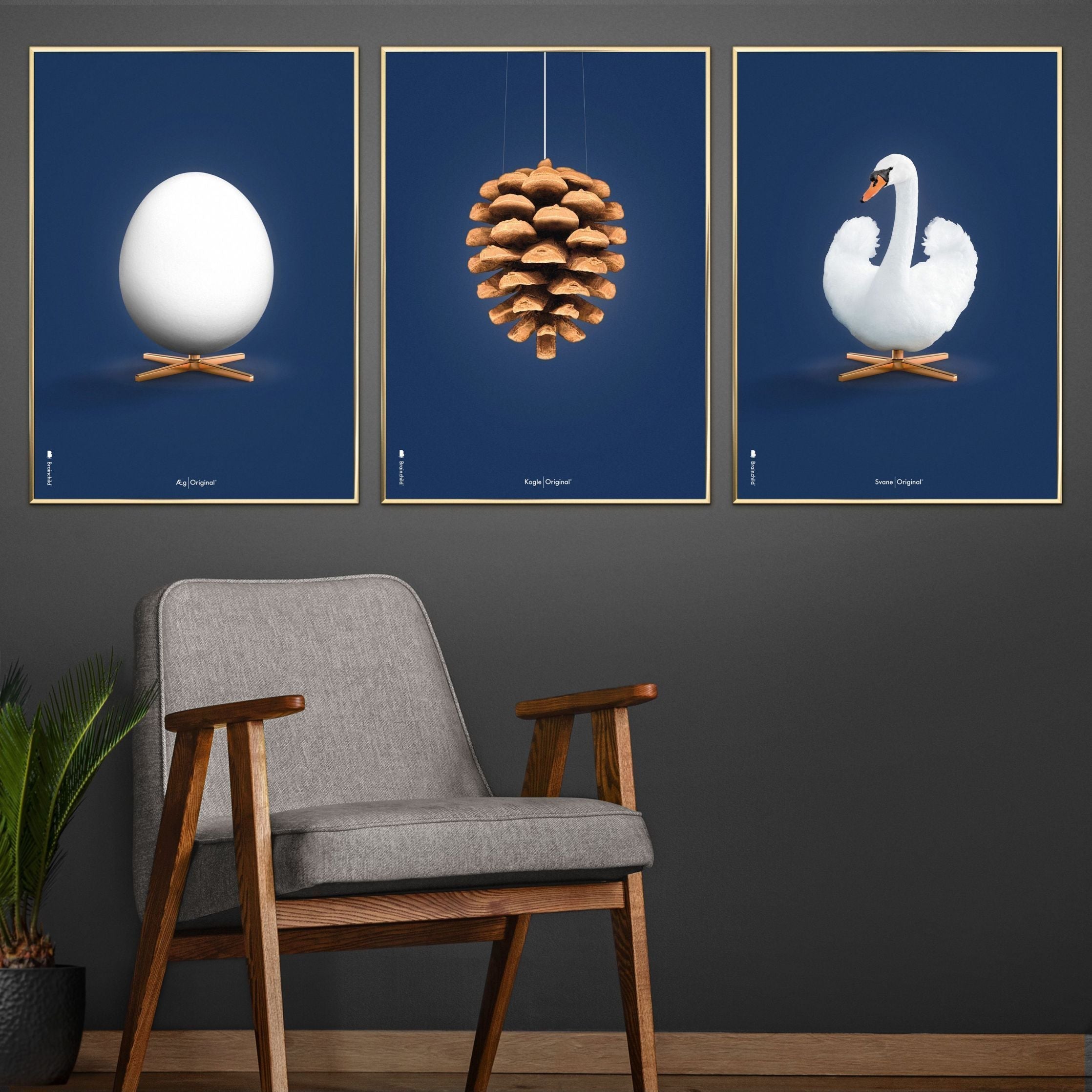 Brainchild Swan Classic Poster, ram gjord av lätt trä 70 x100 cm, mörkblå bakgrund