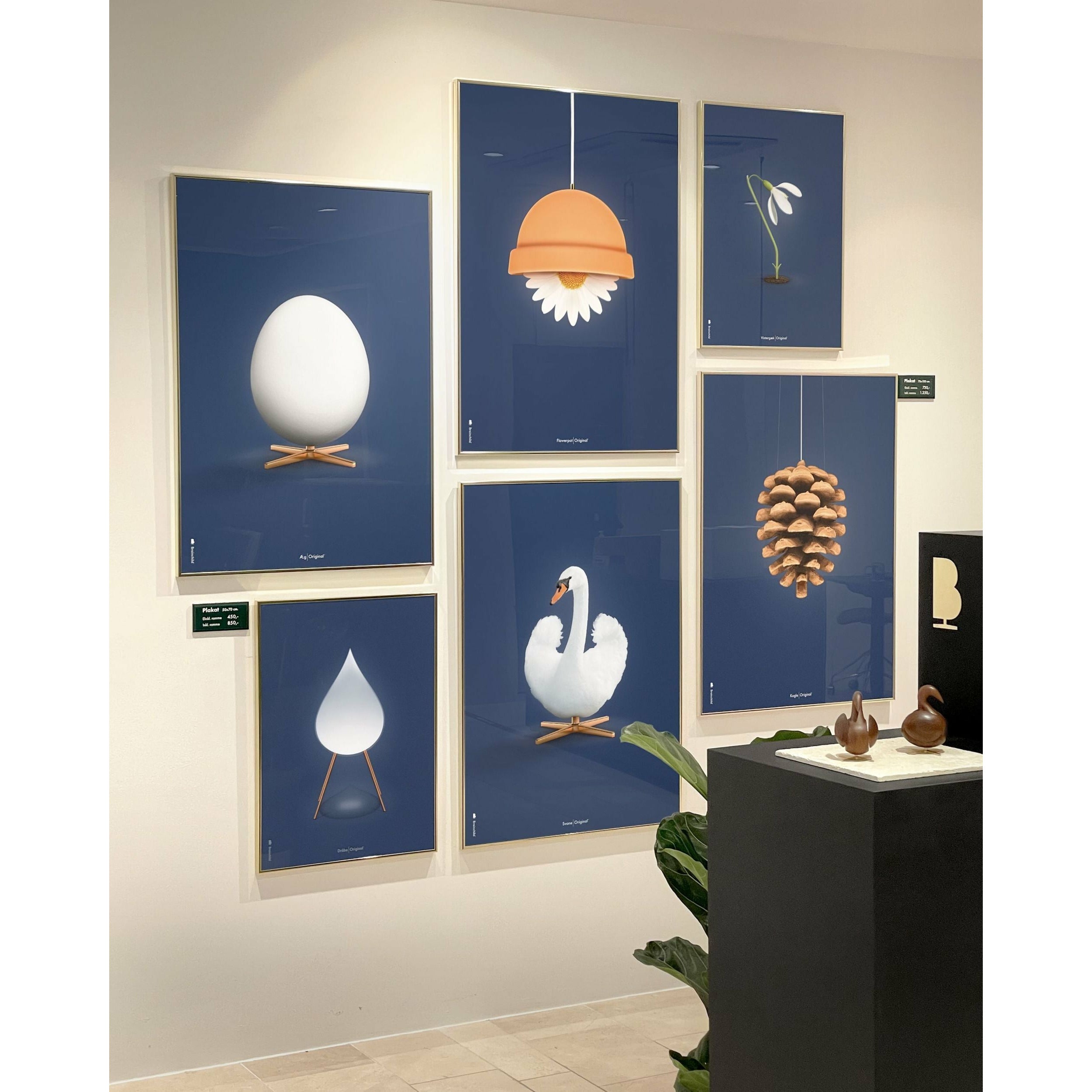 Brainchild Swan Classic Poster, Frame Made of Light Wood 70 X100 cm, mørkeblå bakgrunn