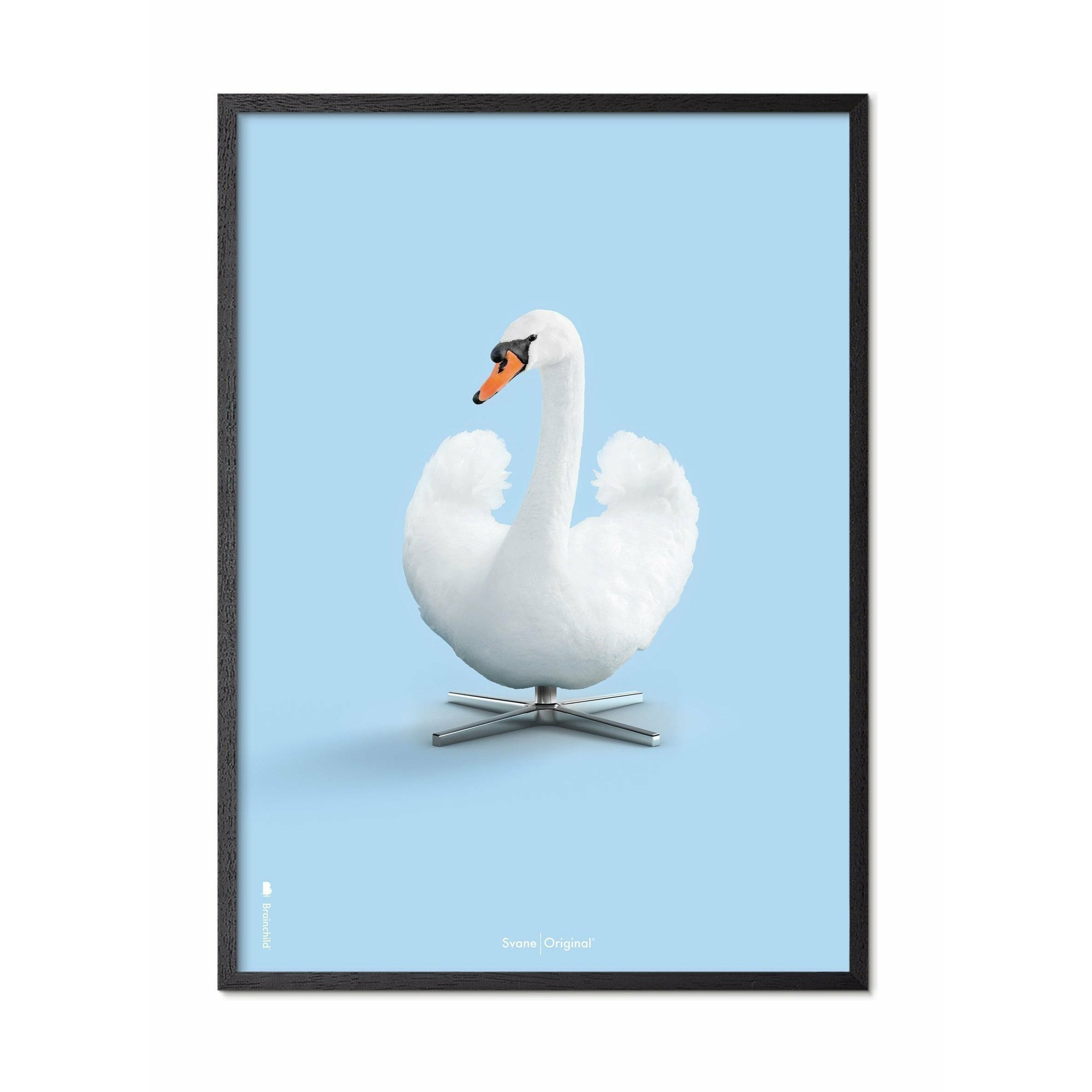 Brainchild Swan Classic Poster, Rahmen aus schwarz lackiertem Holz 30x40 cm, hellblauer Hintergrund