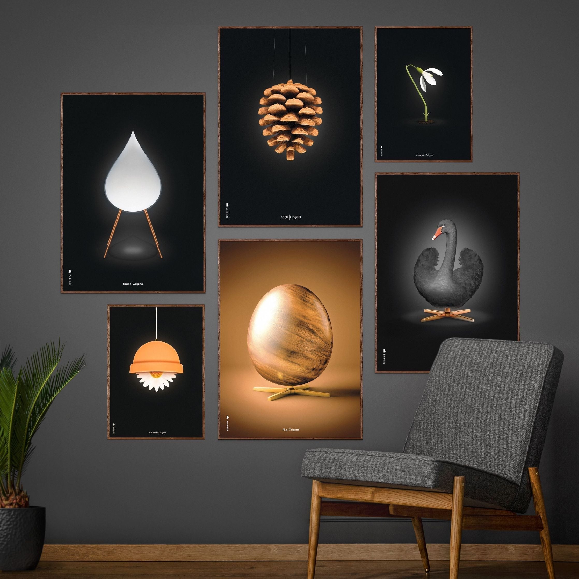 Poster classico di cono di pino da un'idea, cornice color ottone 30x40 cm, sfondo nero