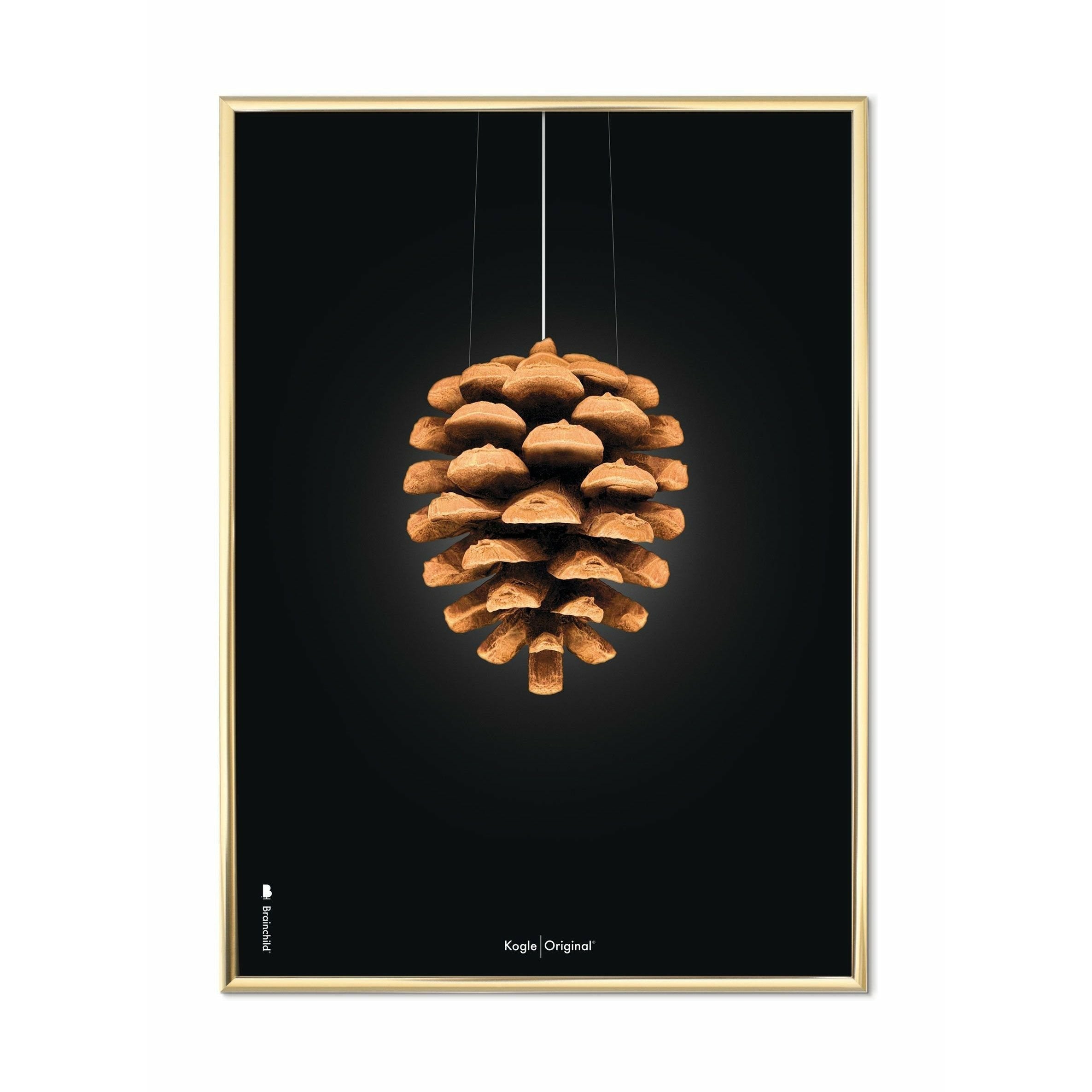 创意松树锥经典海报，黄铜彩色框架30x40厘米，黑色背景