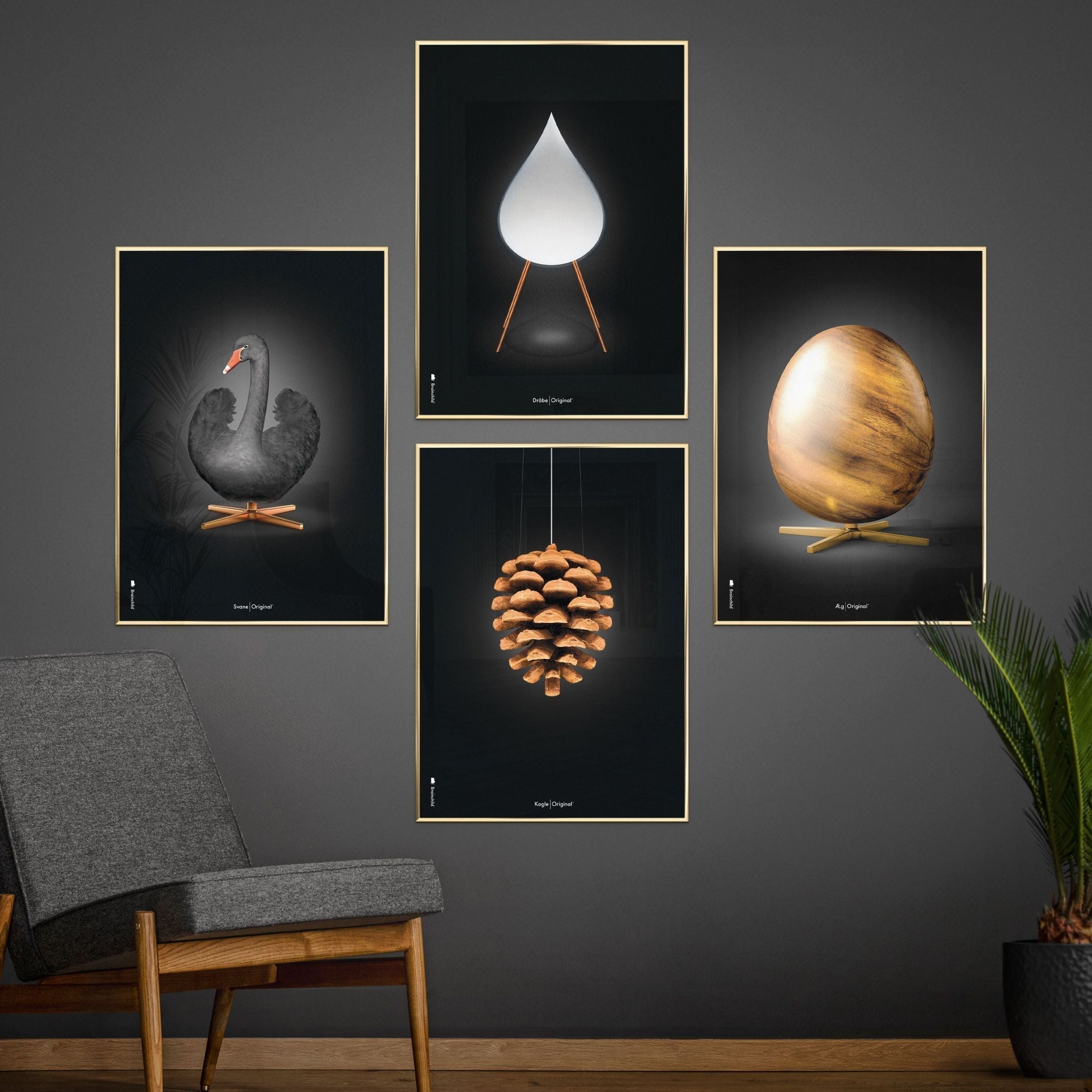 Brainchild Pine Cone Classic Poster, Frame Made Of Dark Wood 30x40 Cm, Black Background