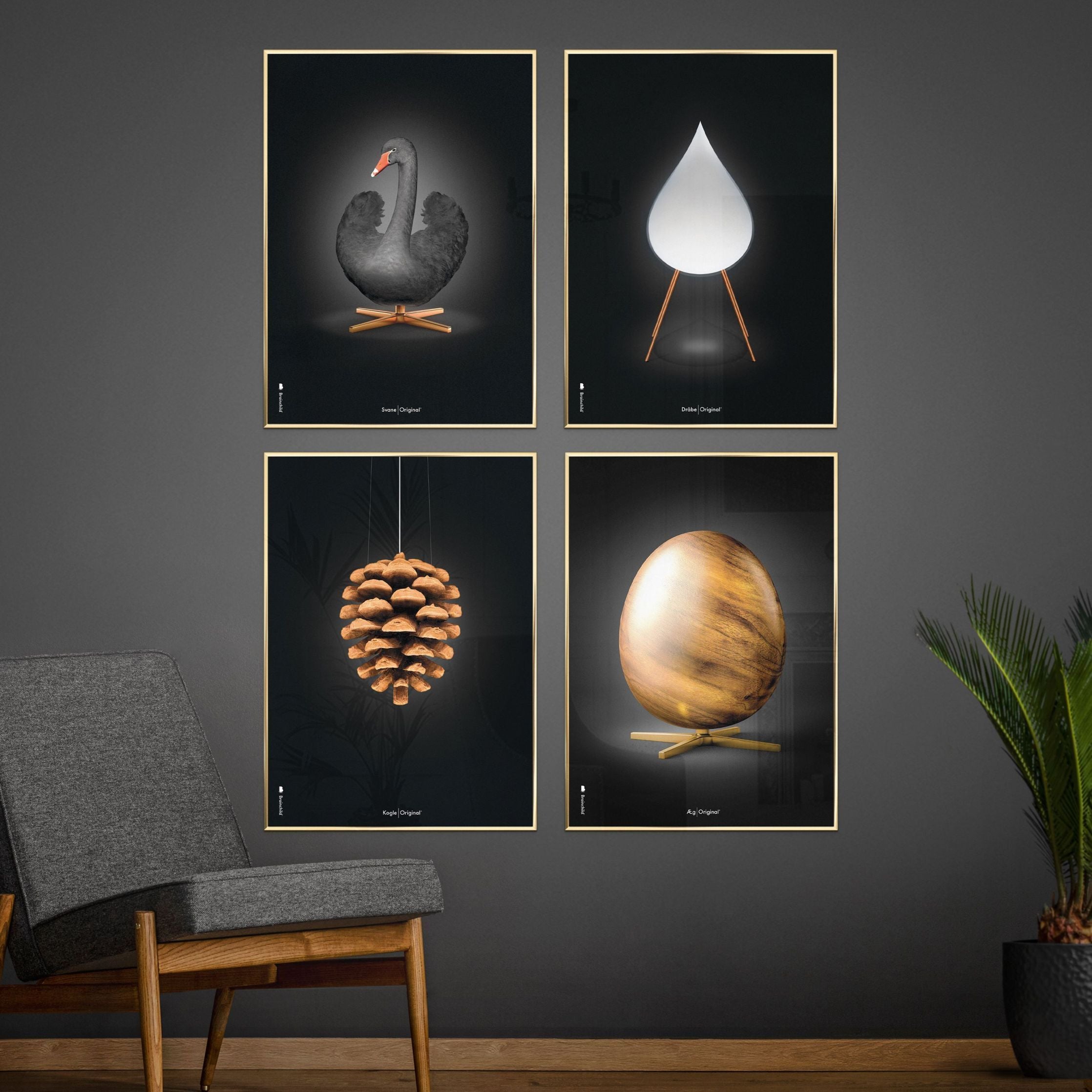 Poster classico del cono di pino da un'idea, cornice in legno scuro 30x40 cm, sfondo nero