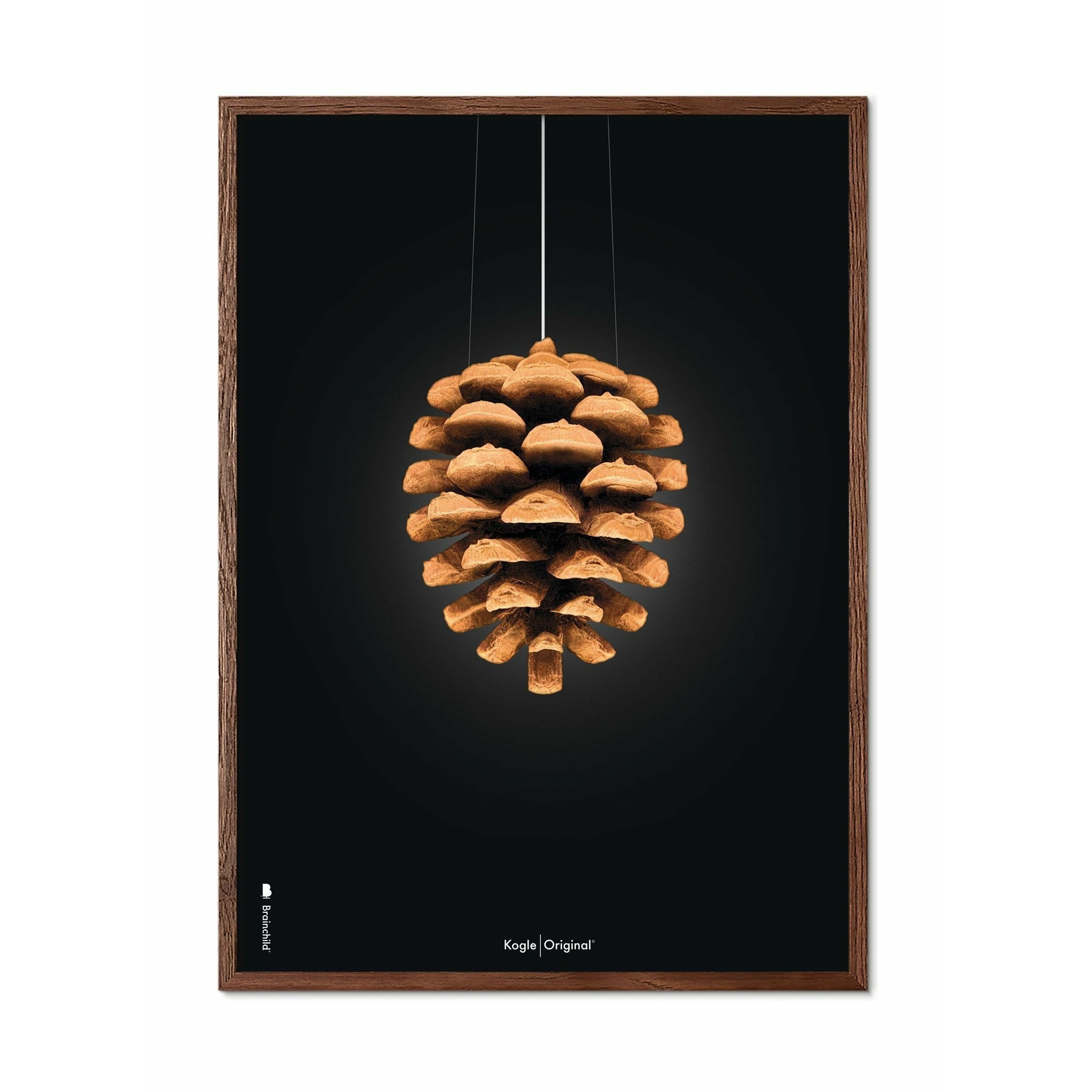 Póster clásico de cono de pino de creación, marco hecho de madera oscura 30x40 cm, fondo negro