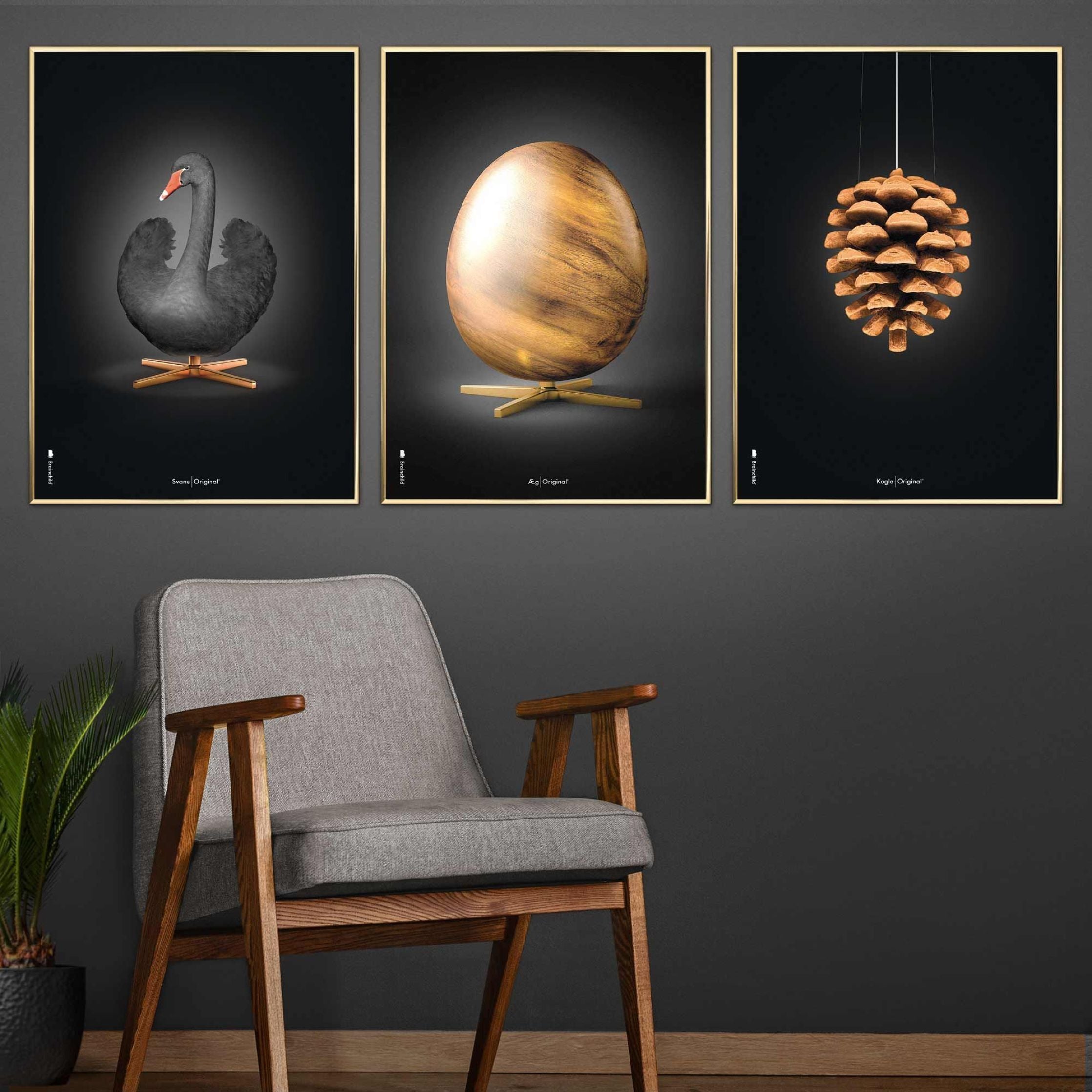 Brainchild Pine Cone Classic Poster, Frame Made Of Light Wood 50x70 Cm, Black Background