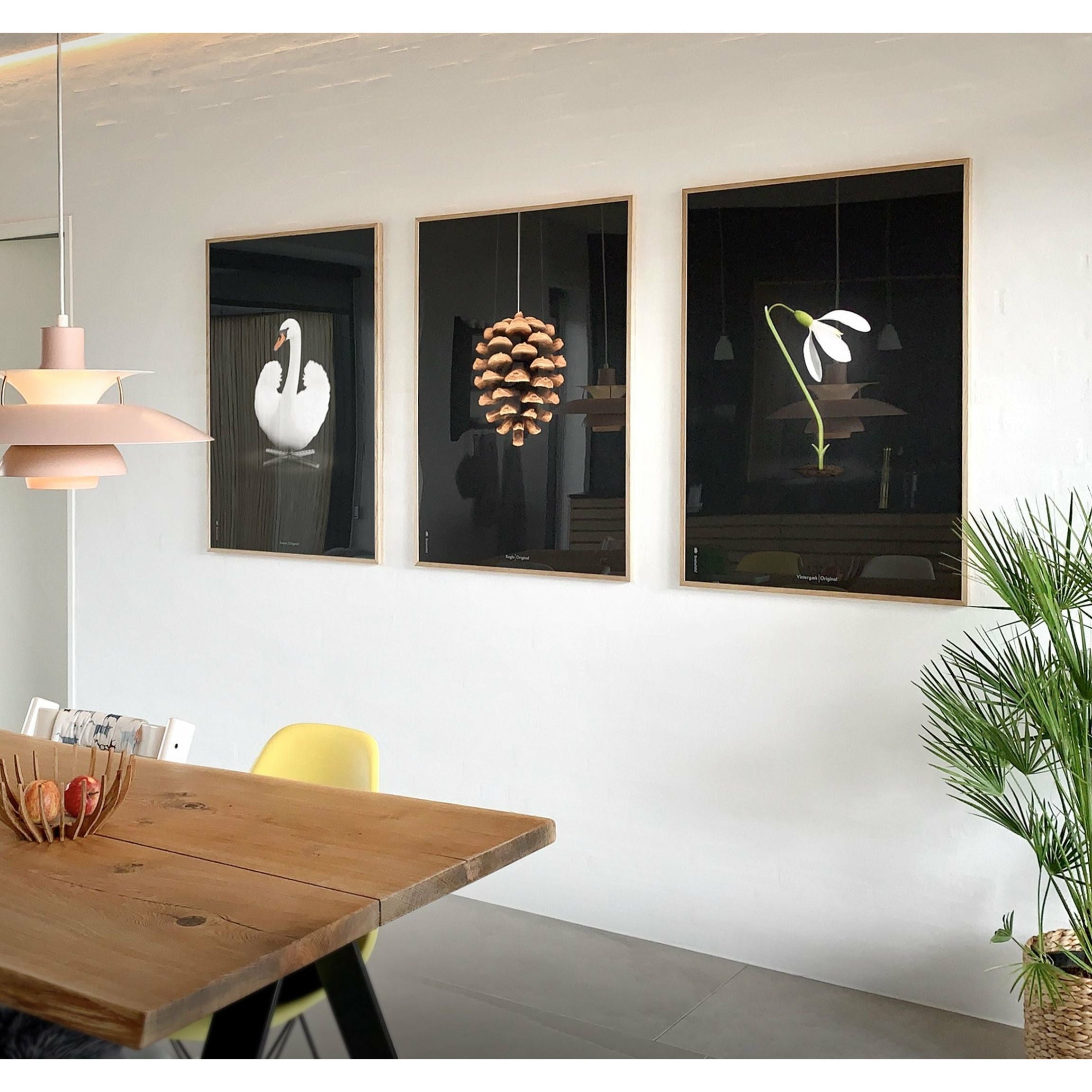 brainchild Affiche classique du cône de pin, cadre en bois clair 50x70 cm, fond noir