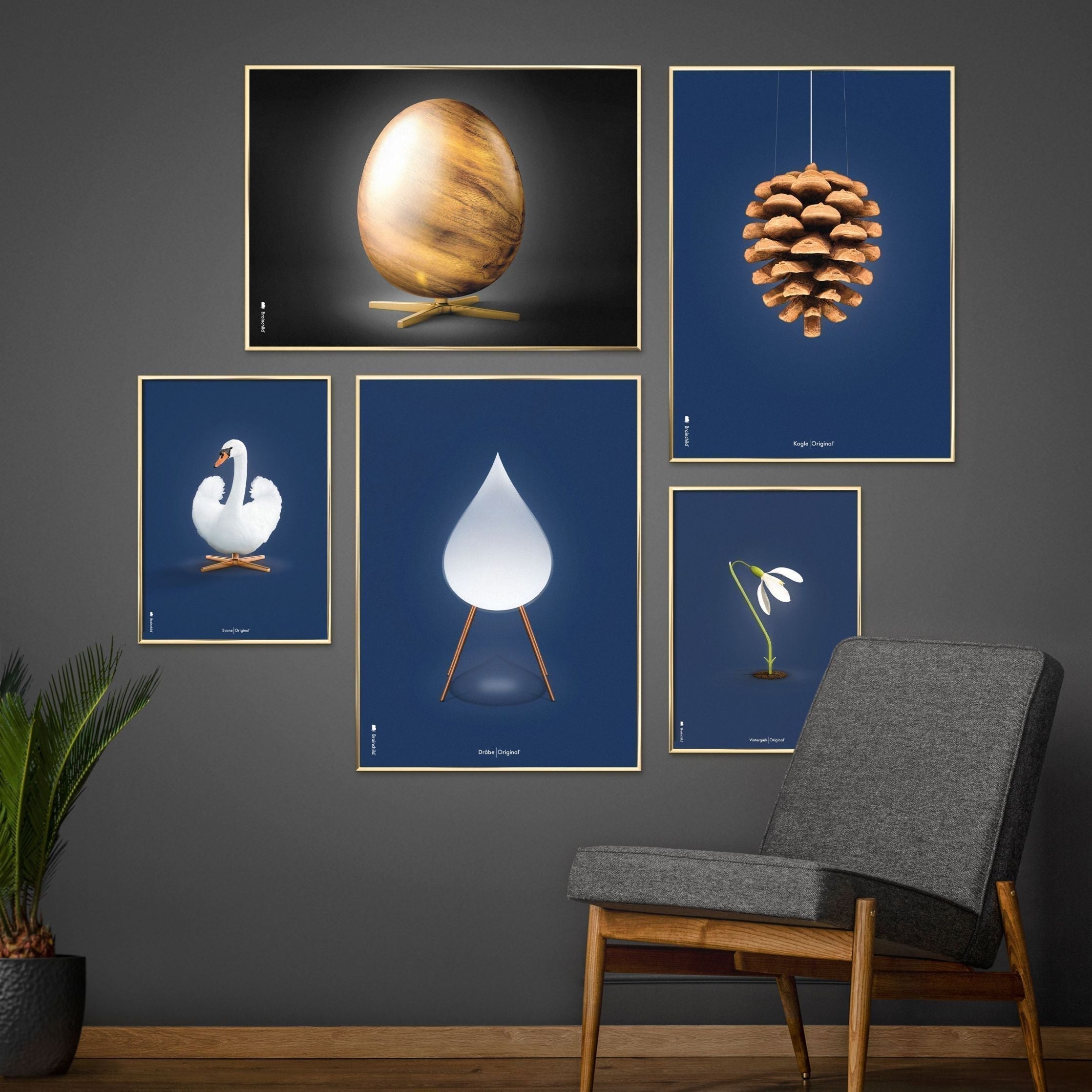 Brainchild Pine Cone Classic Poster, Rahmen aus hellem Holz A5, dunkelblauer Hintergrund