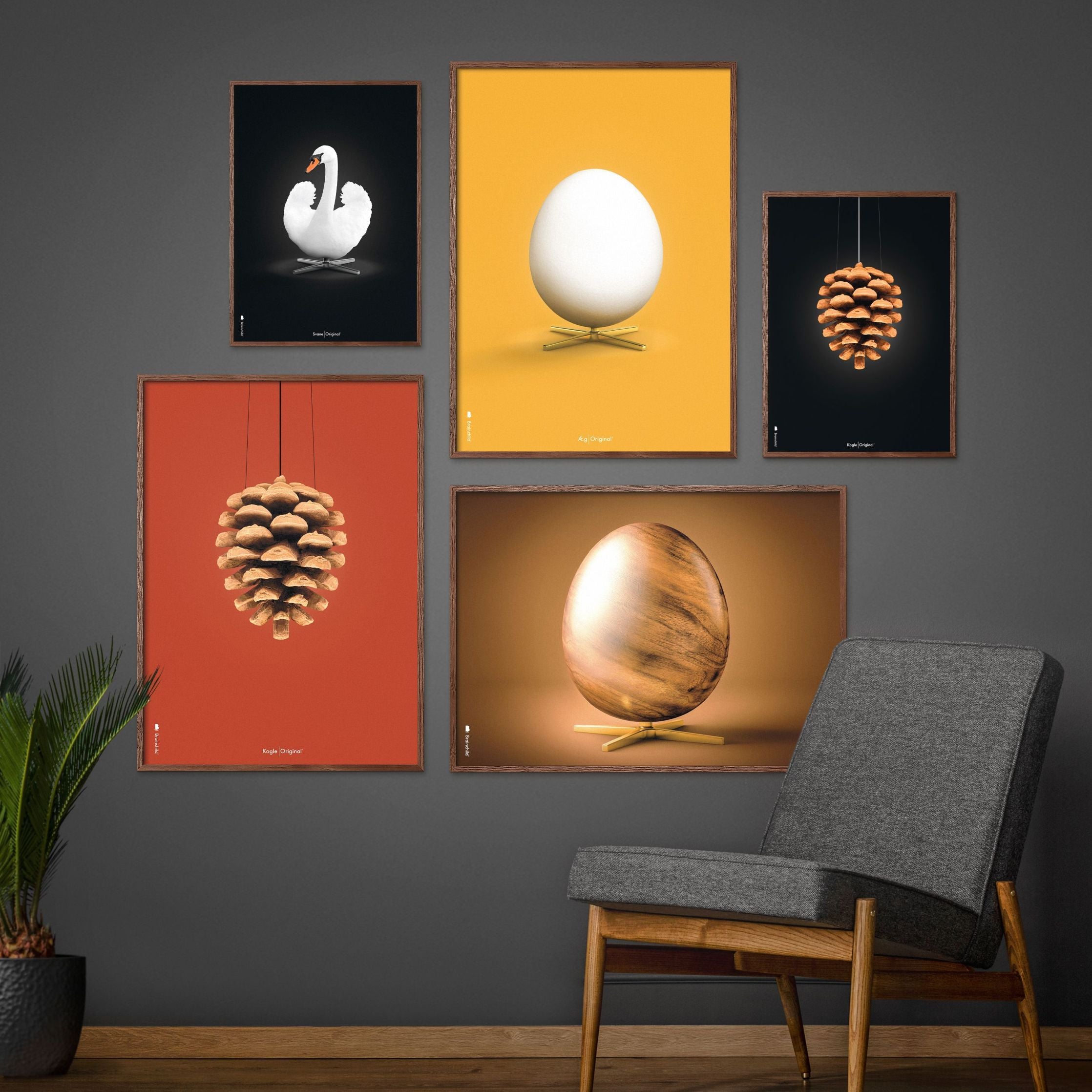 Brainchild Pine Cone Classic Poster, Frame Made Of Light Wood A5, Red Background