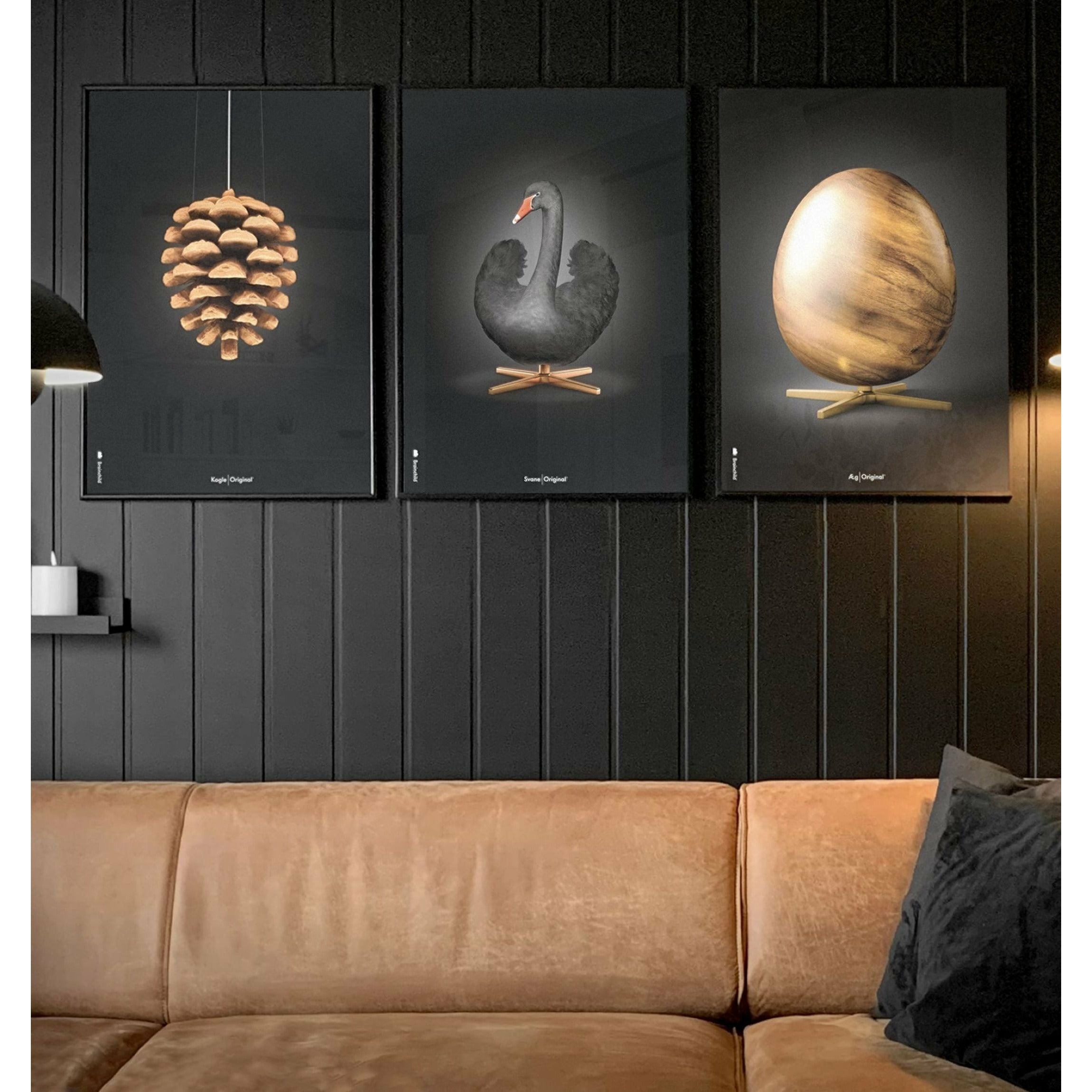 Brainchild Pine Cone Classic Poster, Frame Made of Light Wood A5, svart bakgrunn