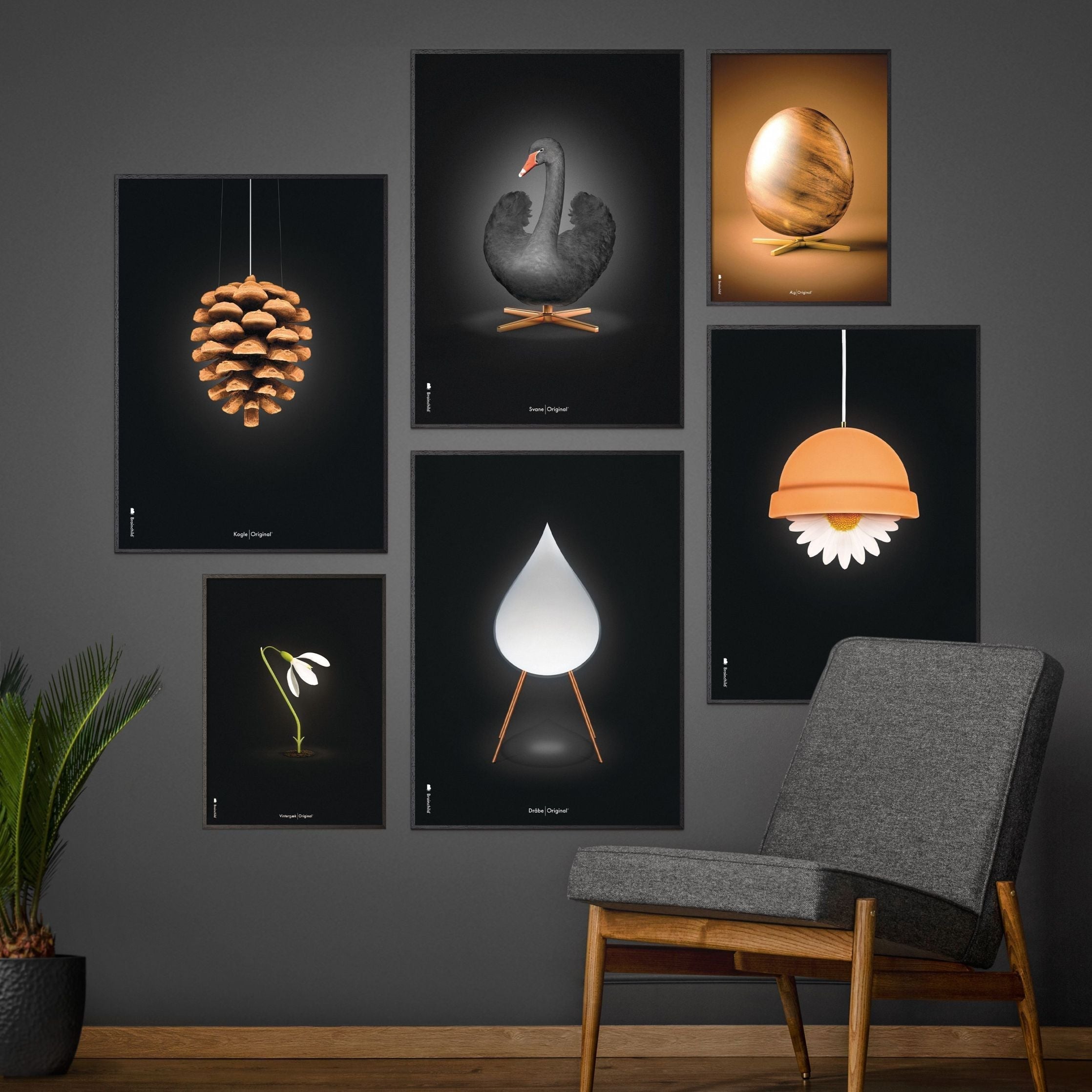 brainchild Affiche classique du cône de pin, cadre en bois clair A5, fond noir