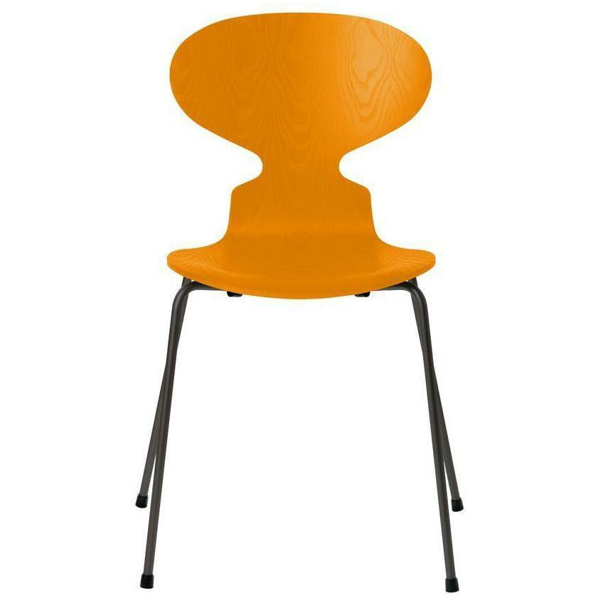 弗里茨·汉森蚂蚁椅染色的灰烧黄色壳，温暖的石墨底座