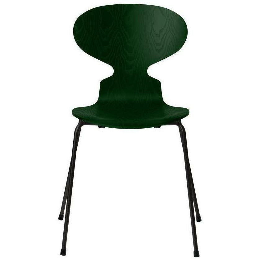 弗里茨·汉森蚂蚁椅染灰的常绿碗，黑色底座
