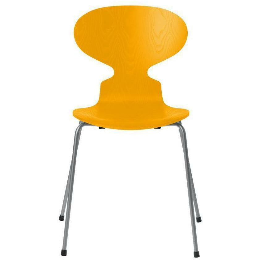 弗里茨·汉森蚂蚁椅彩色灰烬真黄色的碗，银灰色的底座