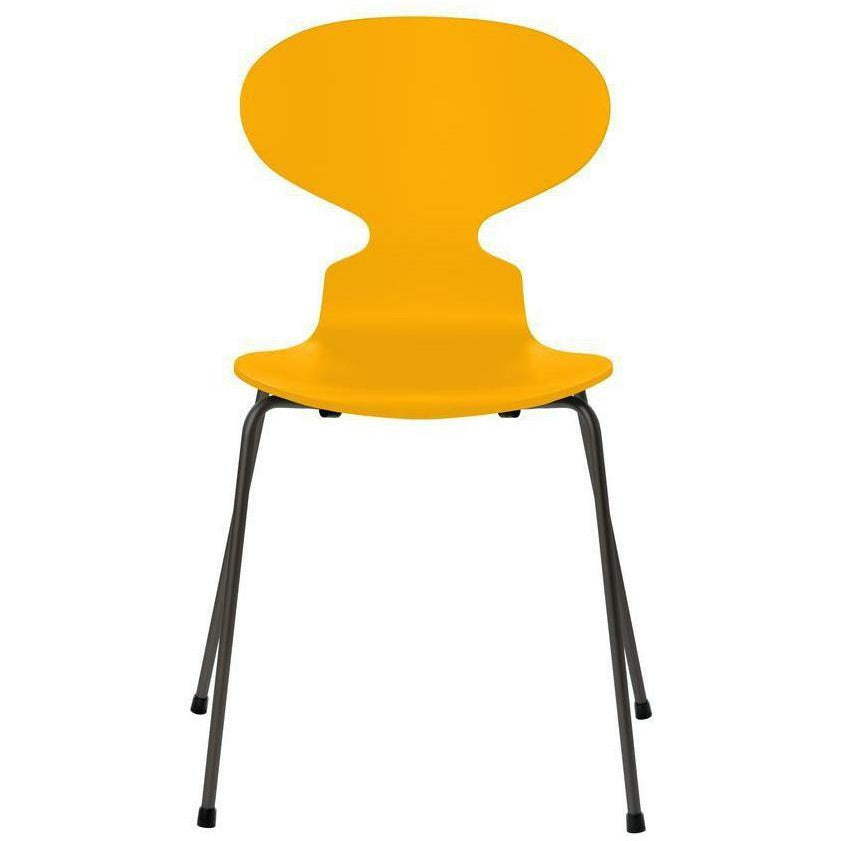 弗里茨·汉森蚂蚁椅漆的真黄色壳，温暖的石墨底座