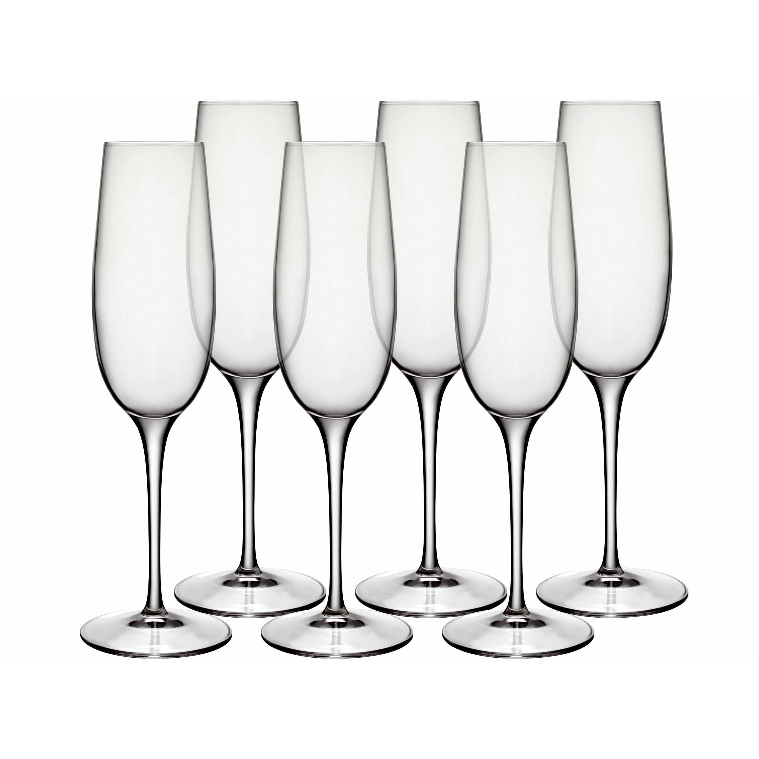 Luigi Bormioli Palace Champagne Glass, uppsättning av 6