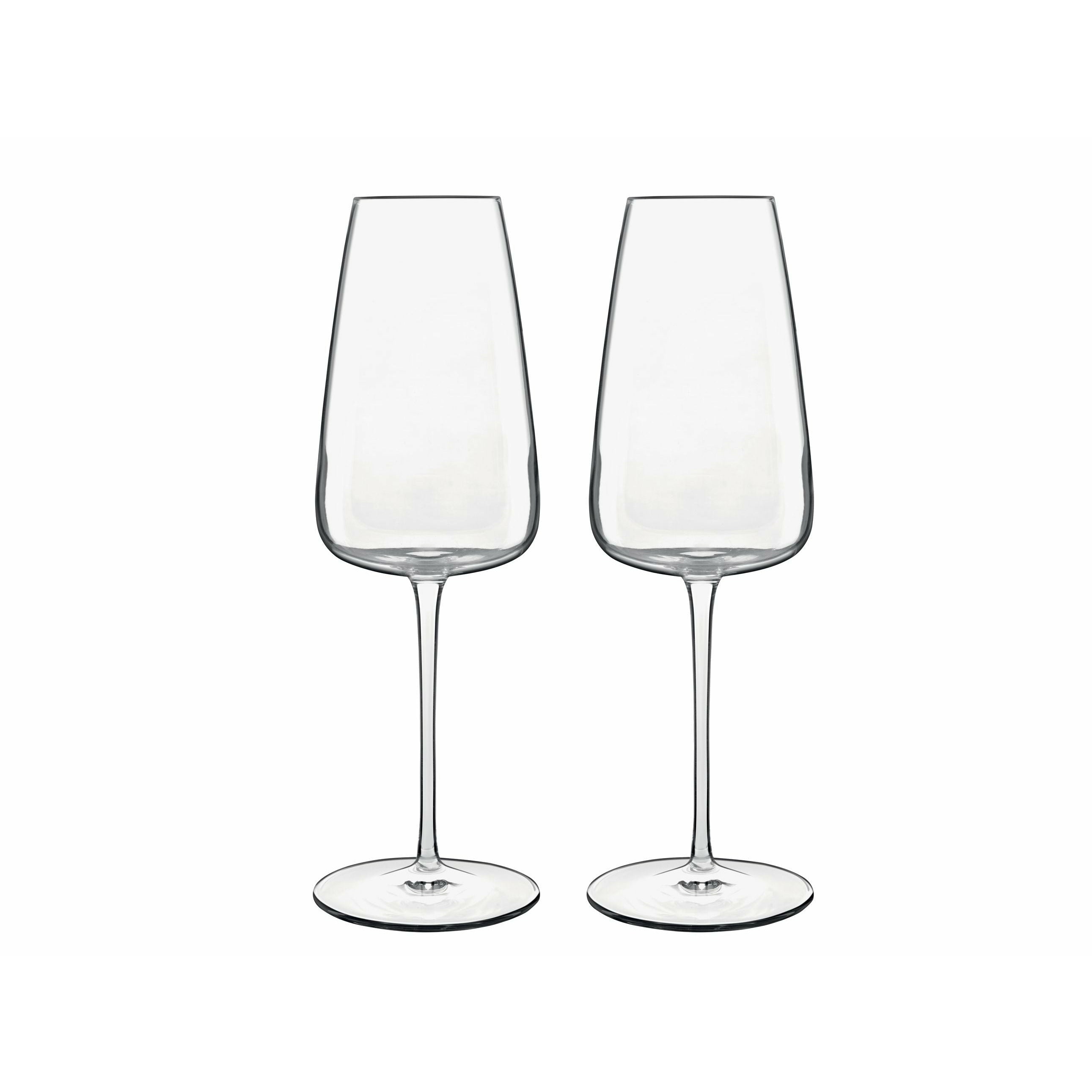 Luigi Bormioli Talismano Champagne Glass, 2 stycken