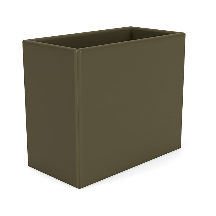 Organizzatore del Montana Collect, Origano Green