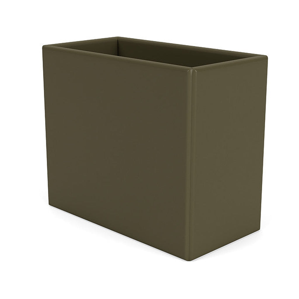 Organizzatore del Montana Collect, Origano Green