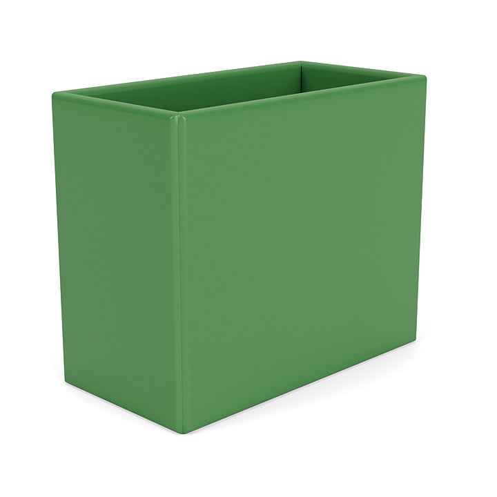 Montana verzamelt organisator, Parsley Green