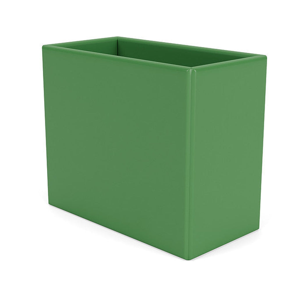 Organizzatore del Montana Collect, verde prezzemolo