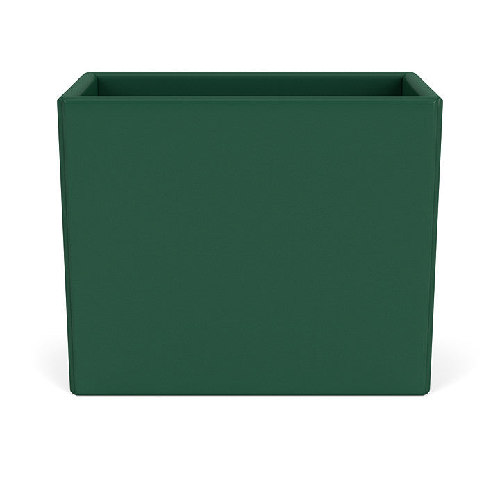 Organizzatore del Montana Collect, Pine Green