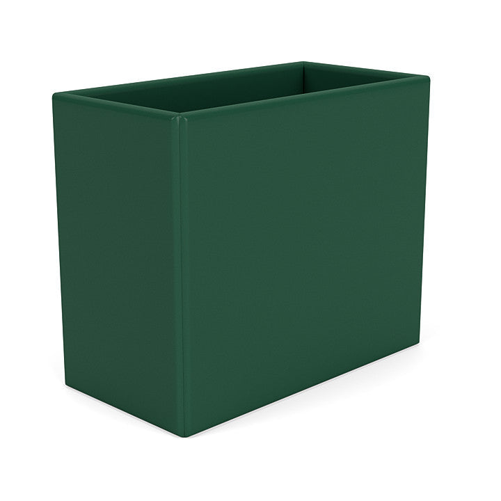 Organizzatore del Montana Collect, Pine Green