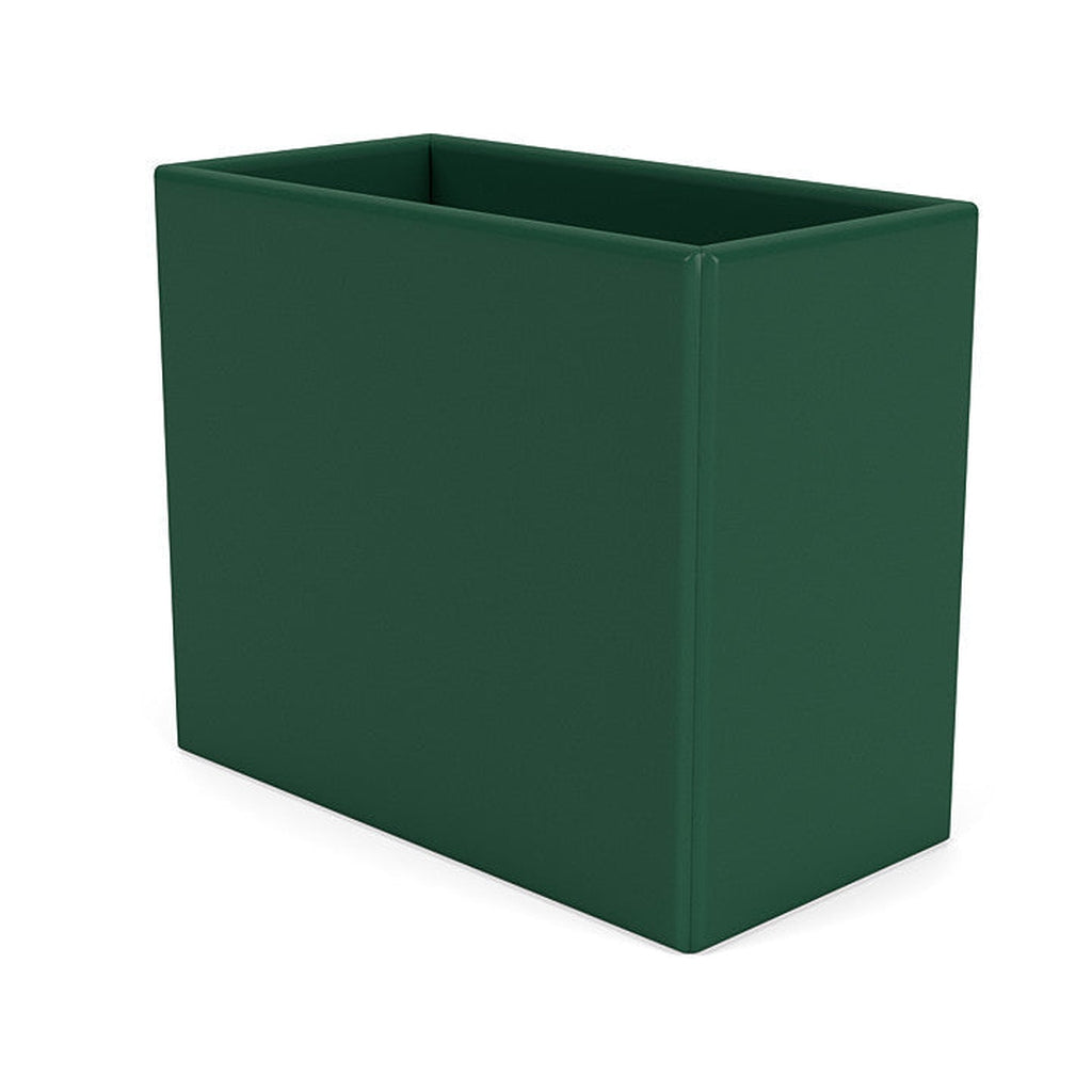 Organizzatore del Montana Collect, Pine Green