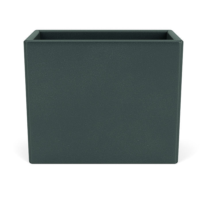 Organisateur du Montana Collect, Black Jade