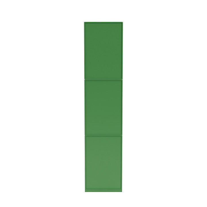 蒙大拿州织机高高的书架，带3厘米底座，欧芹绿色