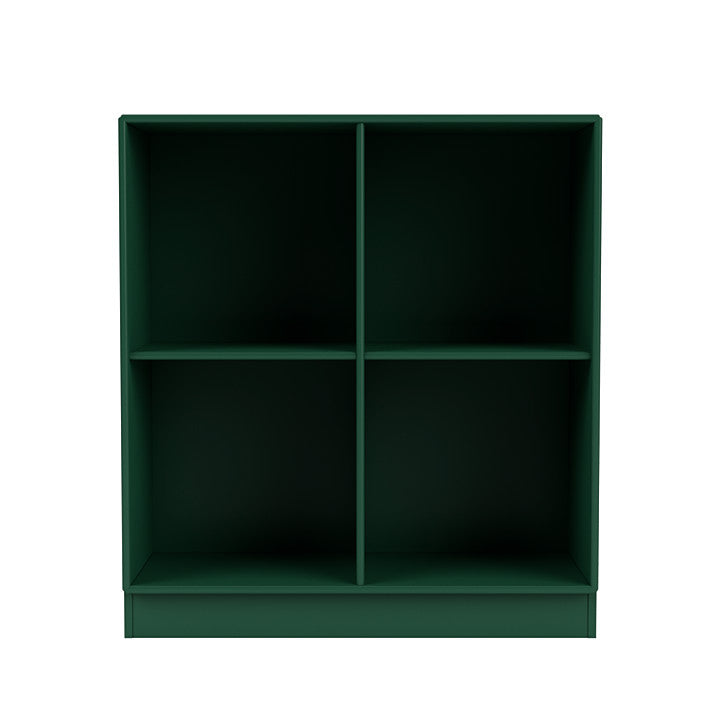 蒙大拿州的表演书柜，带7厘米底座，松绿色