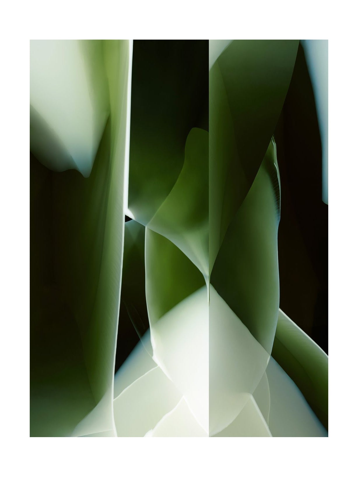 Qeeboo Studio Nucleo Rug 300x400 cm, verde onix